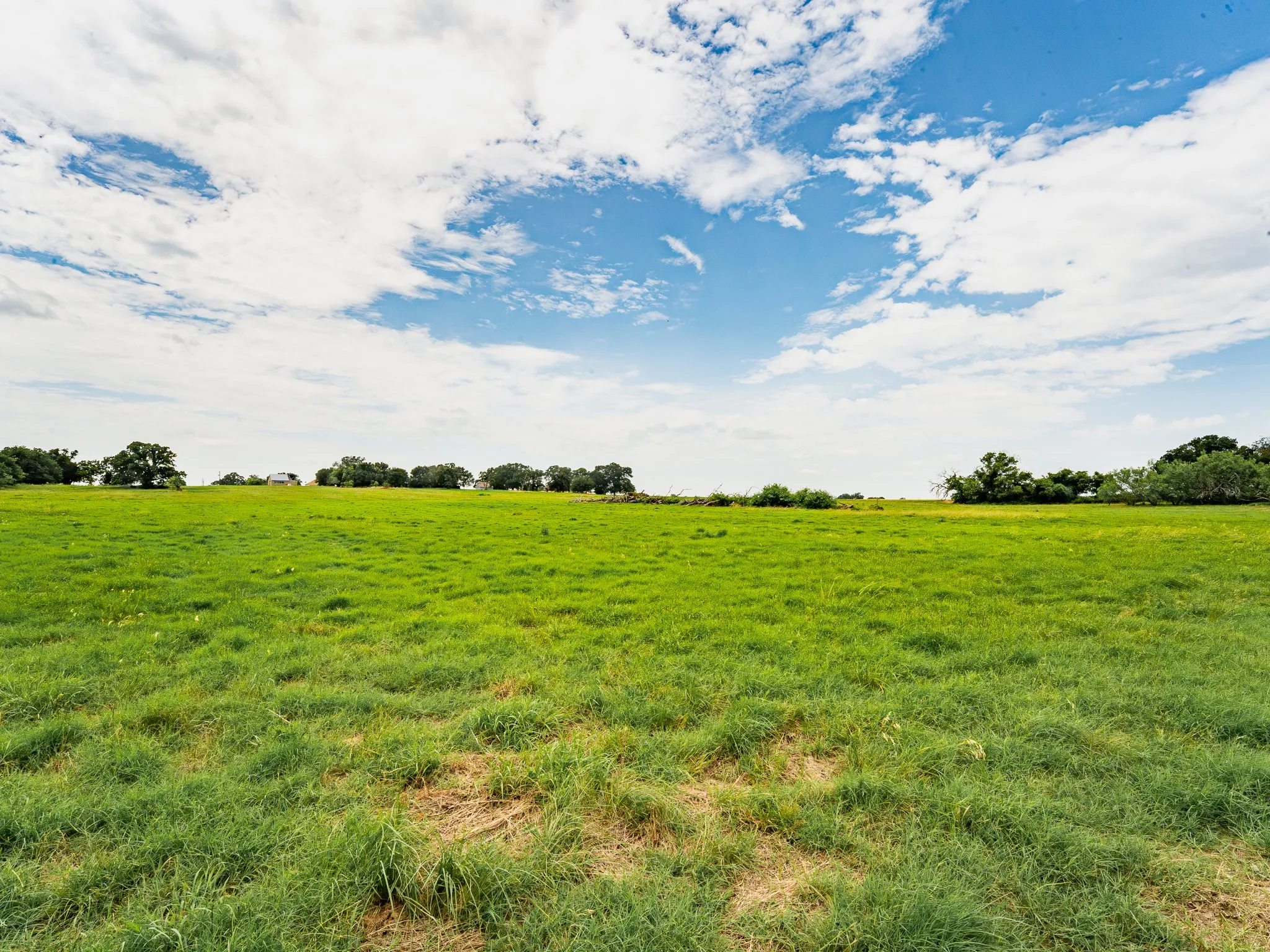 Farm For Sale in Wise County , 207 Cr-1750, Chico, Texas 76431, 3 Bedroom, 2 Bathroom, 2 Garage spaces, 2,224 Sqft, built in 1959, mls#21317101, Real Estate Agent in Chico, Homes For Sale in Wise county, Homes For Sale in Chico, Realtor in Chico Texas, Real Estate Brokerage Independent Realty Texas, Luminita Cordes Realtor