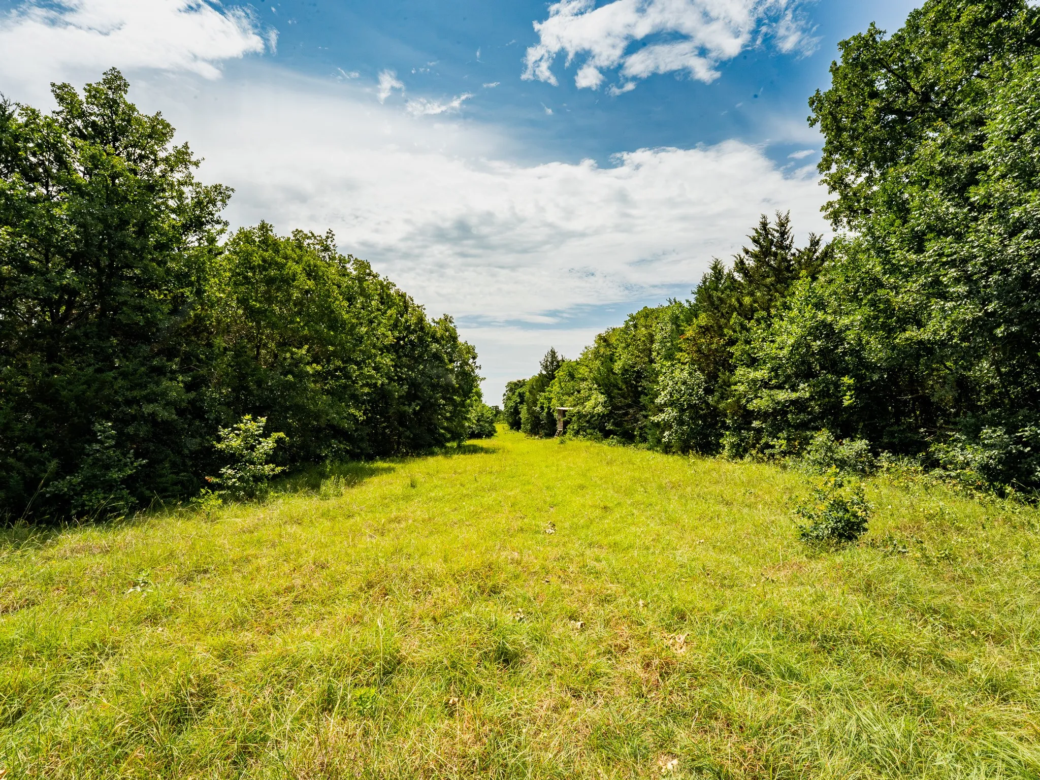 Farm For Sale in Wise County , 207 Cr-1750, Chico, Texas 76431, 3 Bedroom, 2 Bathroom, 2 Garage spaces, 2,224 Sqft, built in 1959, mls#21317101, Real Estate Agent in Chico, Homes For Sale in Wise county, Homes For Sale in Chico, Realtor in Chico Texas, Real Estate Brokerage Independent Realty Texas, Luminita Cordes Realtor