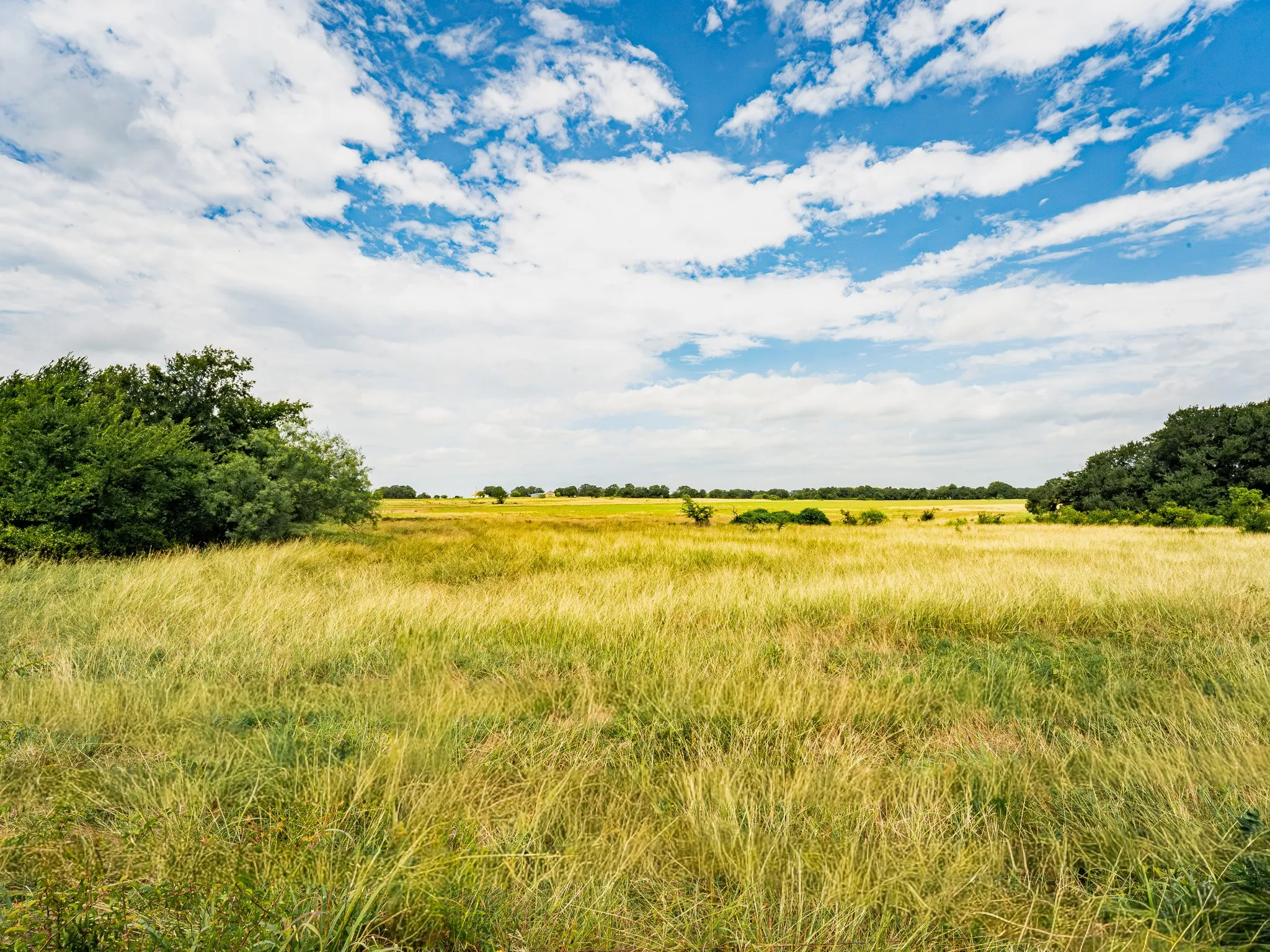 Farm For Sale in Wise County , 207 Cr-1750, Chico, Texas 76431, 3 Bedroom, 2 Bathroom, 2 Garage spaces, 2,224 Sqft, built in 1959, mls#21317101, Real Estate Agent in Chico, Homes For Sale in Wise county, Homes For Sale in Chico, Realtor in Chico Texas, Real Estate Brokerage Independent Realty Texas, Luminita Cordes Realtor