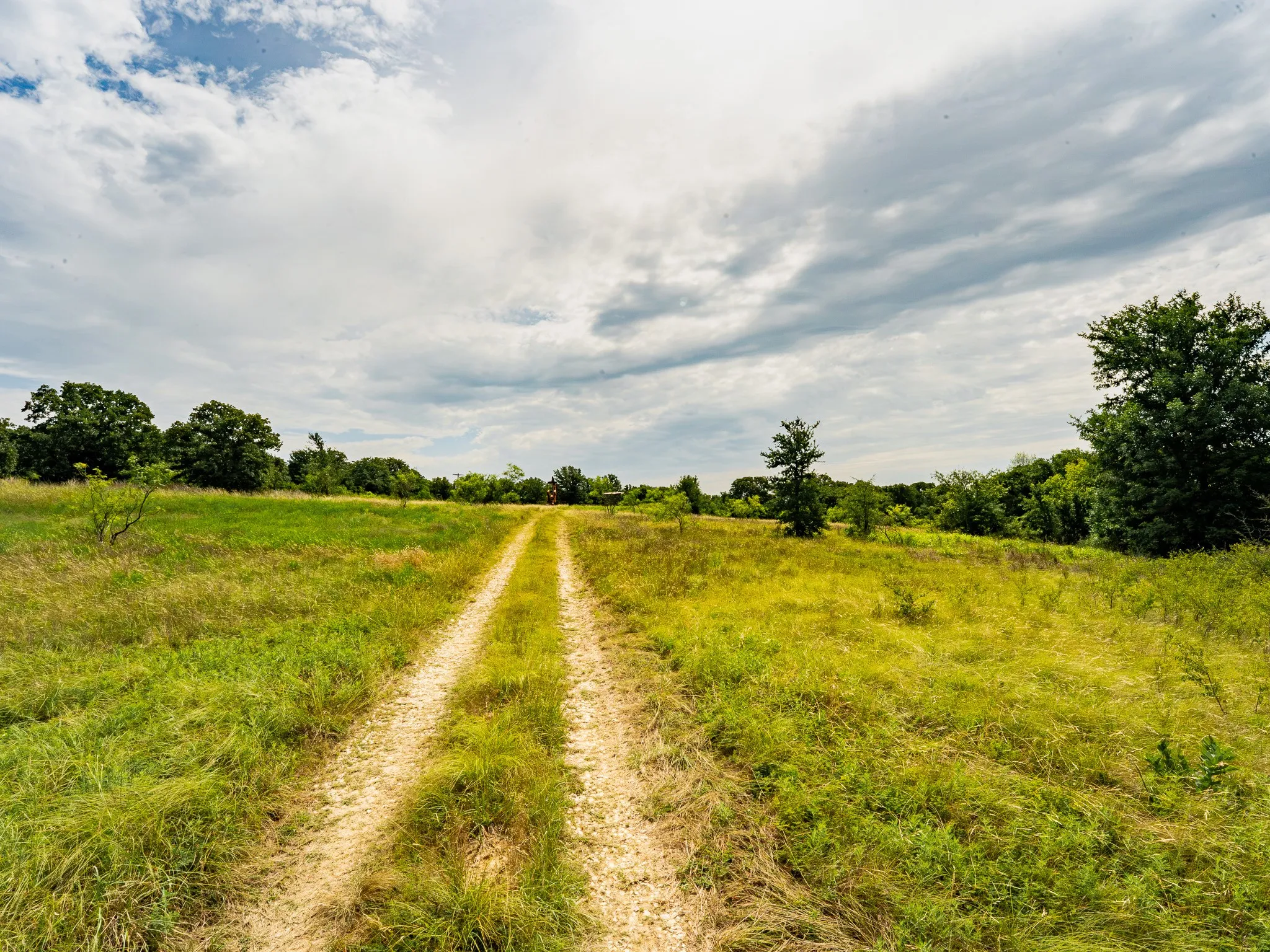 Farm For Sale in Wise County , 207 Cr-1750, Chico, Texas 76431, 3 Bedroom, 2 Bathroom, 2 Garage spaces, 2,224 Sqft, built in 1959, mls#21317101, Real Estate Agent in Chico, Homes For Sale in Wise county, Homes For Sale in Chico, Realtor in Chico Texas, Real Estate Brokerage Independent Realty Texas, Luminita Cordes Realtor
