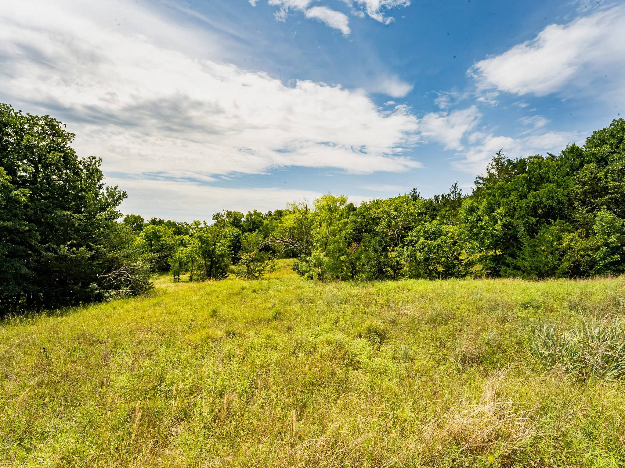 Farm For Sale in Wise County , 207 Cr-1750, Chico, Texas 76431, 3 Bedroom, 2 Bathroom, 2 Garage spaces, 2,224 Sqft, built in 1959, mls#21317101, Real Estate Agent in Chico, Homes For Sale in Wise county, Homes For Sale in Chico, Realtor in Chico Texas, Real Estate Brokerage Independent Realty Texas, Luminita Cordes Realtor