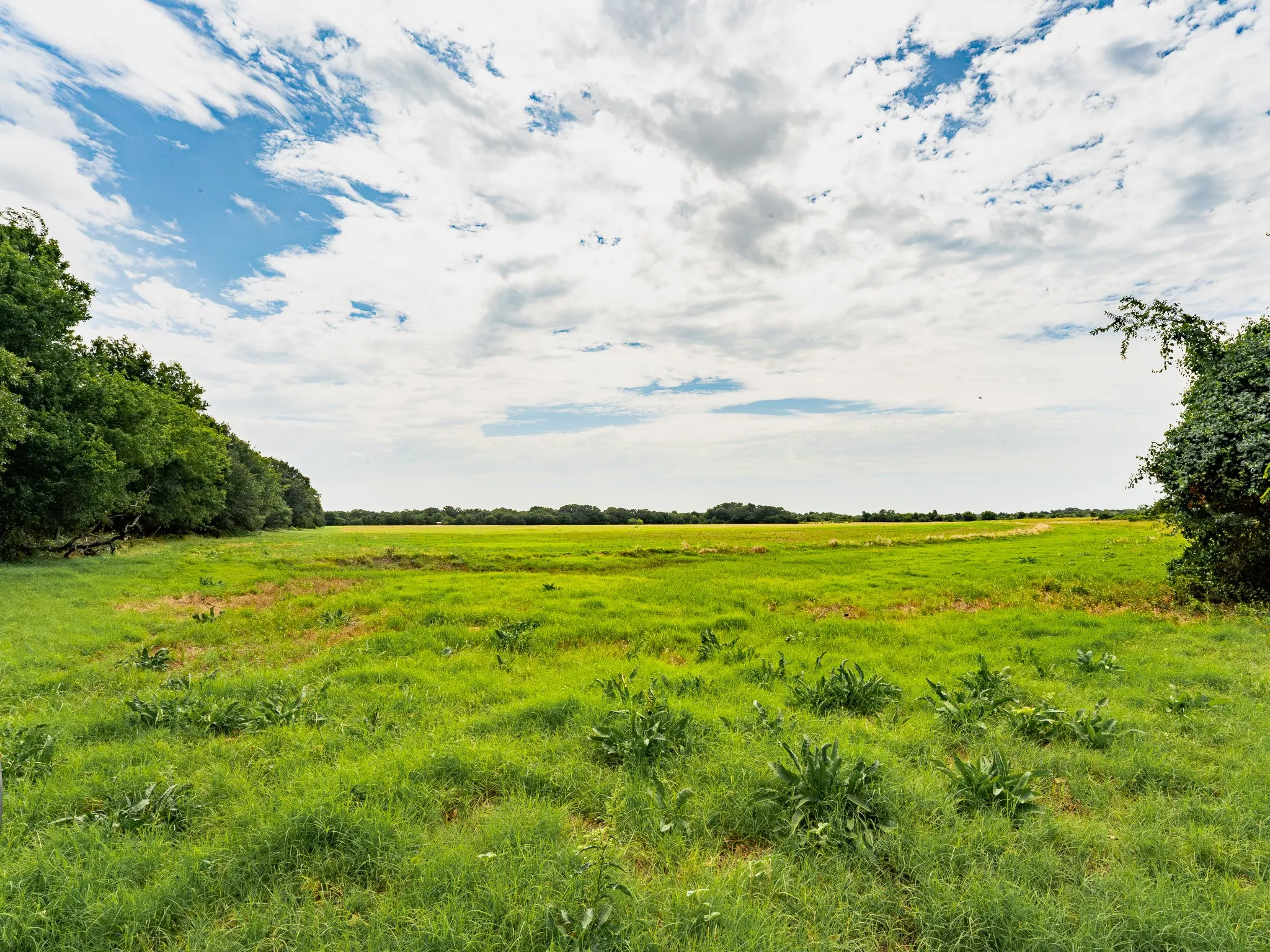 Farm For Sale in Wise County , 207 Cr-1750, Chico, Texas 76431, 3 Bedroom, 2 Bathroom, 2 Garage spaces, 2,224 Sqft, built in 1959, mls#21317101, Real Estate Agent in Chico, Homes For Sale in Wise county, Homes For Sale in Chico, Realtor in Chico Texas, Real Estate Brokerage Independent Realty Texas, Luminita Cordes Realtor
