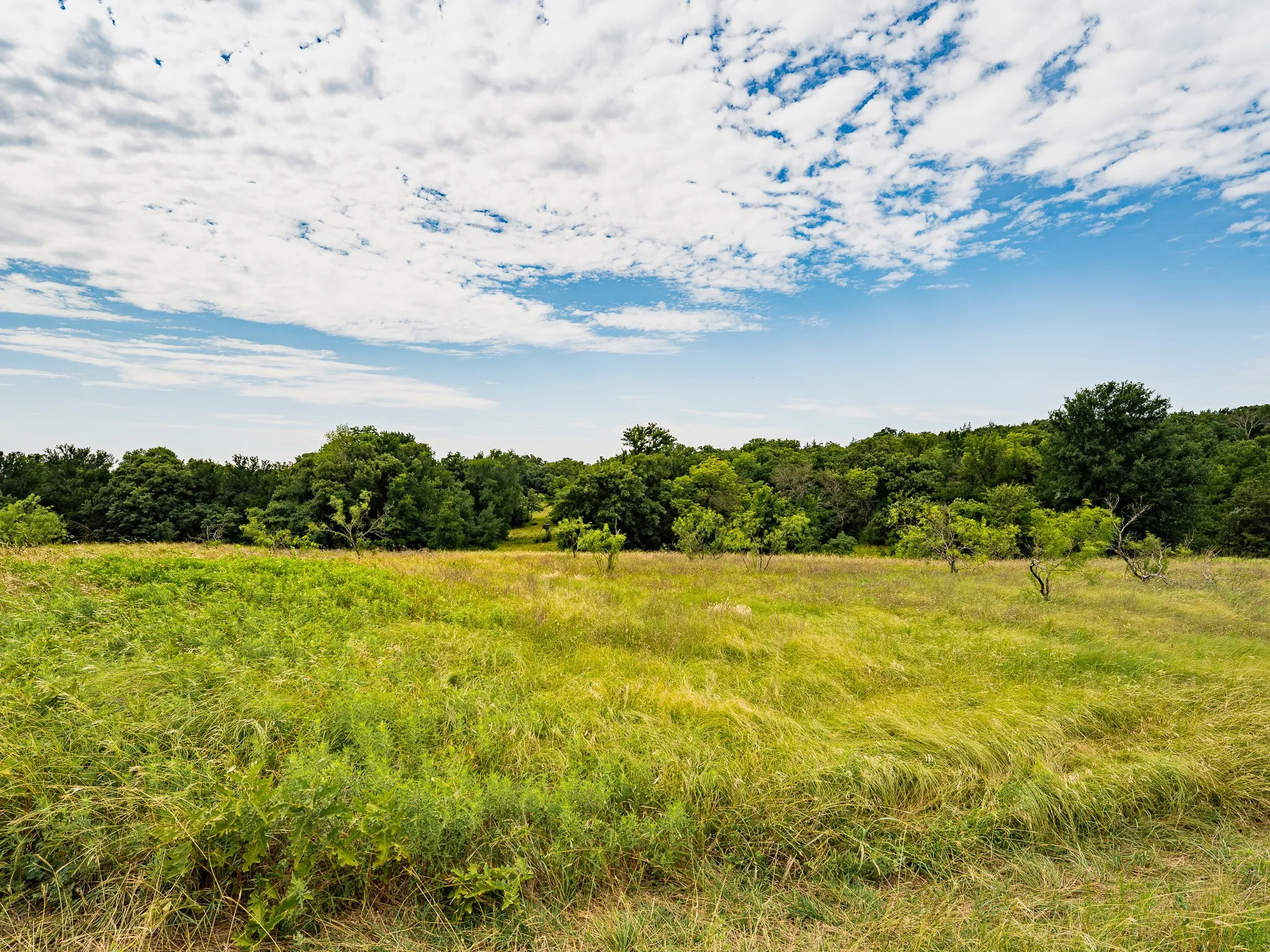 Farm For Sale in Wise County , 207 Cr-1750, Chico, Texas 76431, 3 Bedroom, 2 Bathroom, 2 Garage spaces, 2,224 Sqft, built in 1959, mls#21317101, Real Estate Agent in Chico, Homes For Sale in Wise county, Homes For Sale in Chico, Realtor in Chico Texas, Real Estate Brokerage Independent Realty Texas, Luminita Cordes Realtor