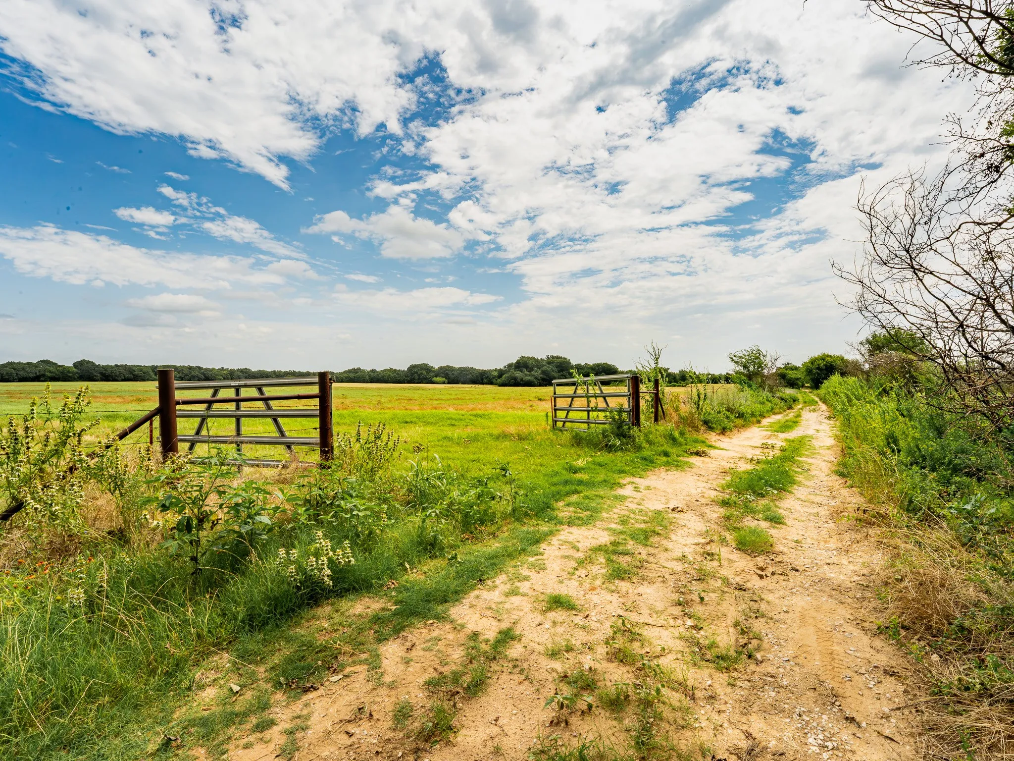 Farm For Sale in Wise County , 207 Cr-1750, Chico, Texas 76431, 3 Bedroom, 2 Bathroom, 2 Garage spaces, 2,224 Sqft, built in 1959, mls#21317101, Real Estate Agent in Chico, Homes For Sale in Wise county, Homes For Sale in Chico, Realtor in Chico Texas, Real Estate Brokerage Independent Realty Texas, Luminita Cordes Realtor