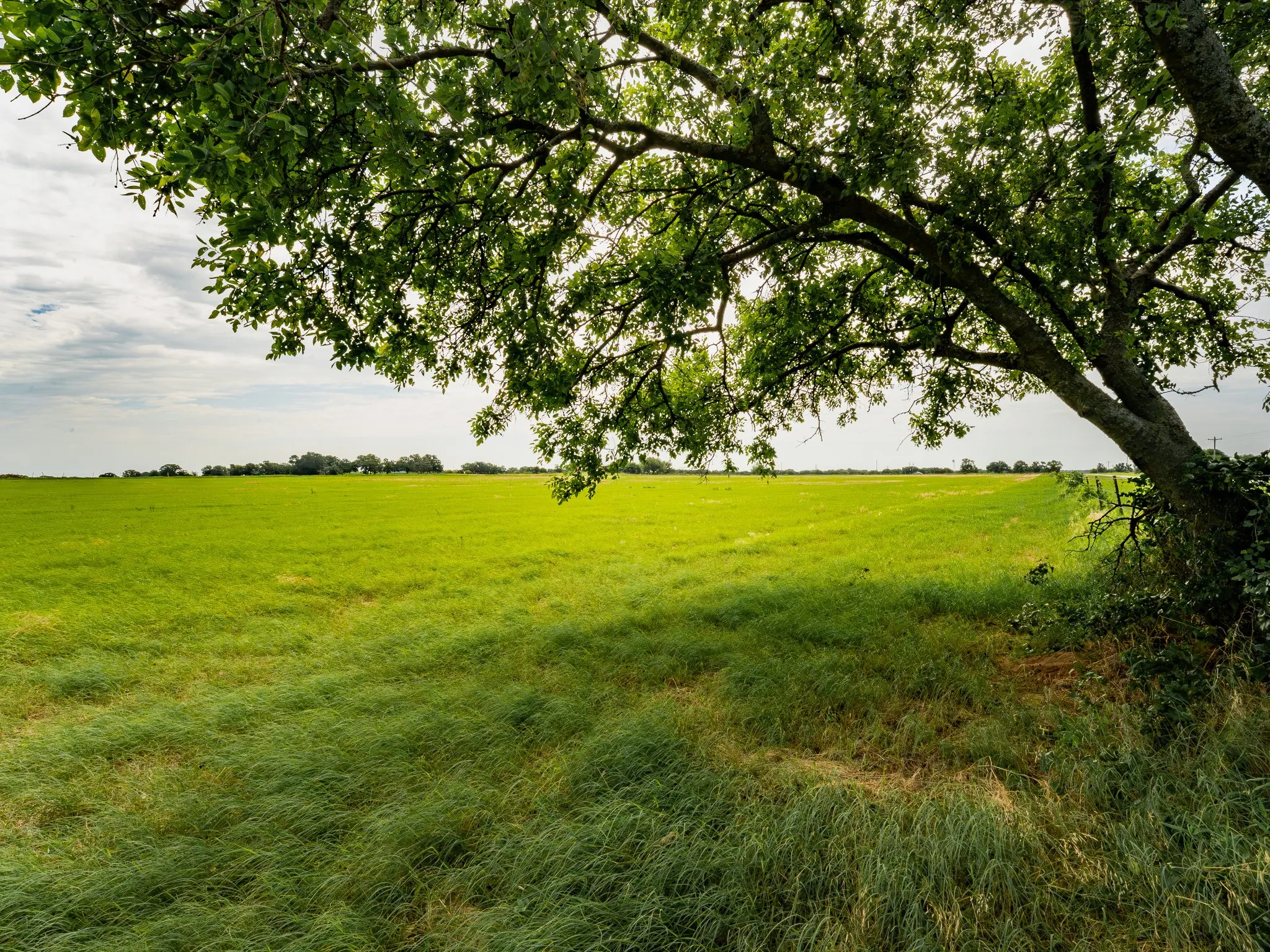 Farm For Sale in Wise County , 207 Cr-1750, Chico, Texas 76431, 3 Bedroom, 2 Bathroom, 2 Garage spaces, 2,224 Sqft, built in 1959, mls#21317101, Real Estate Agent in Chico, Homes For Sale in Wise county, Homes For Sale in Chico, Realtor in Chico Texas, Real Estate Brokerage Independent Realty Texas, Luminita Cordes Realtor