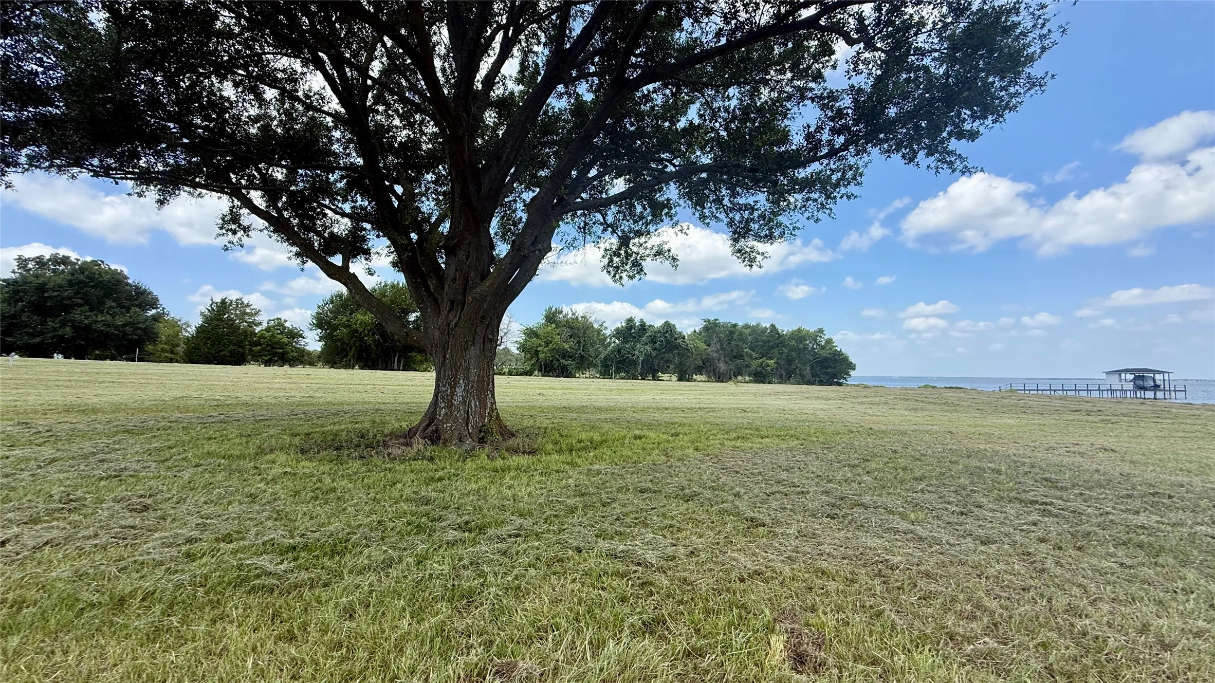 Mature trees frame beautiful views across this premium waterfront property.