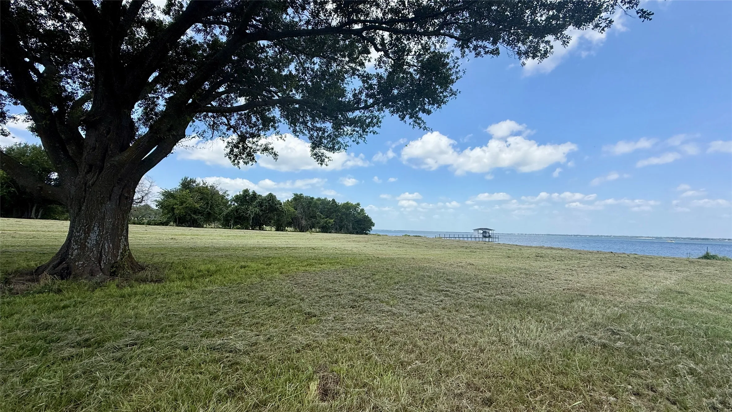 Mature oak stands proudly along the shoreline, adding timeless Texas character.