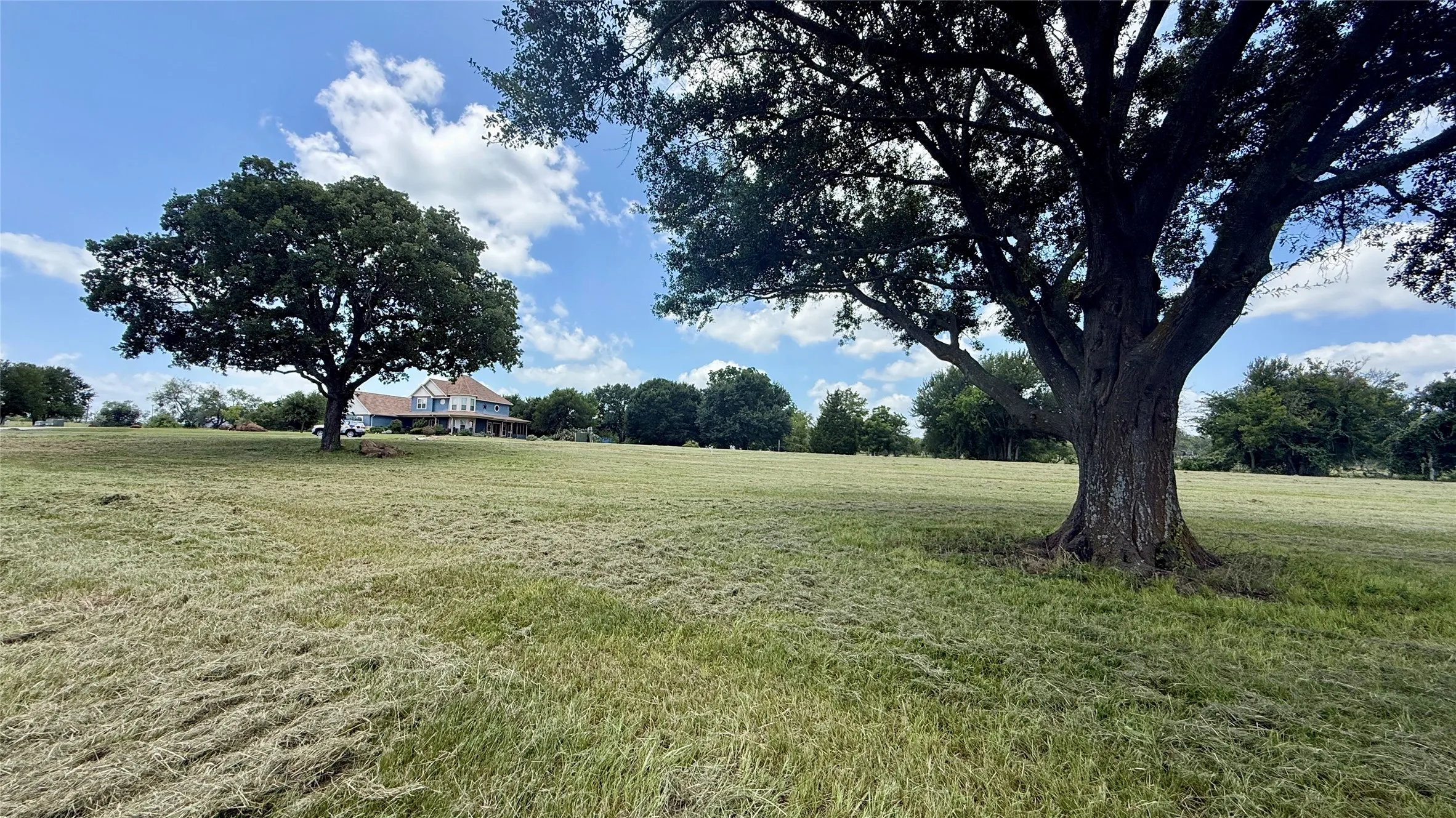Towering shade tree creates a picturesque focal point for your future backyard.
