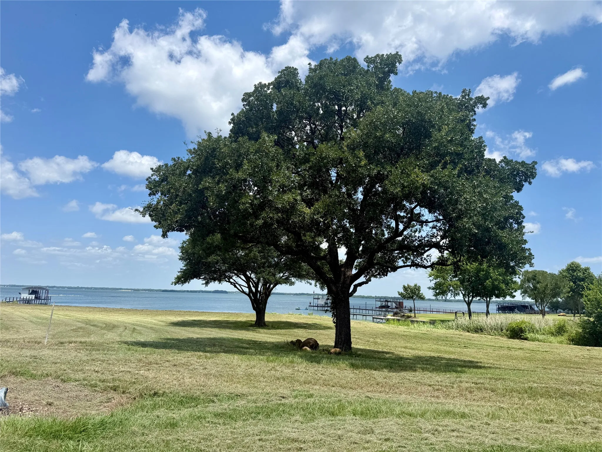 Unimproved Land For Sale in Navarro County , Lot 30 Marina Point, Streetman, Texas 75859, 0, 0, Garage spaces, 0 Sqft, built in 2012, mls#21316828, Real Estate Agent in Streetman, Homes For Sale in Navarro county, Homes For Sale in Streetman, Realtor in Streetman Texas, Real Estate Brokerage Independent Realty Texas, Luminita Cordes Realtor