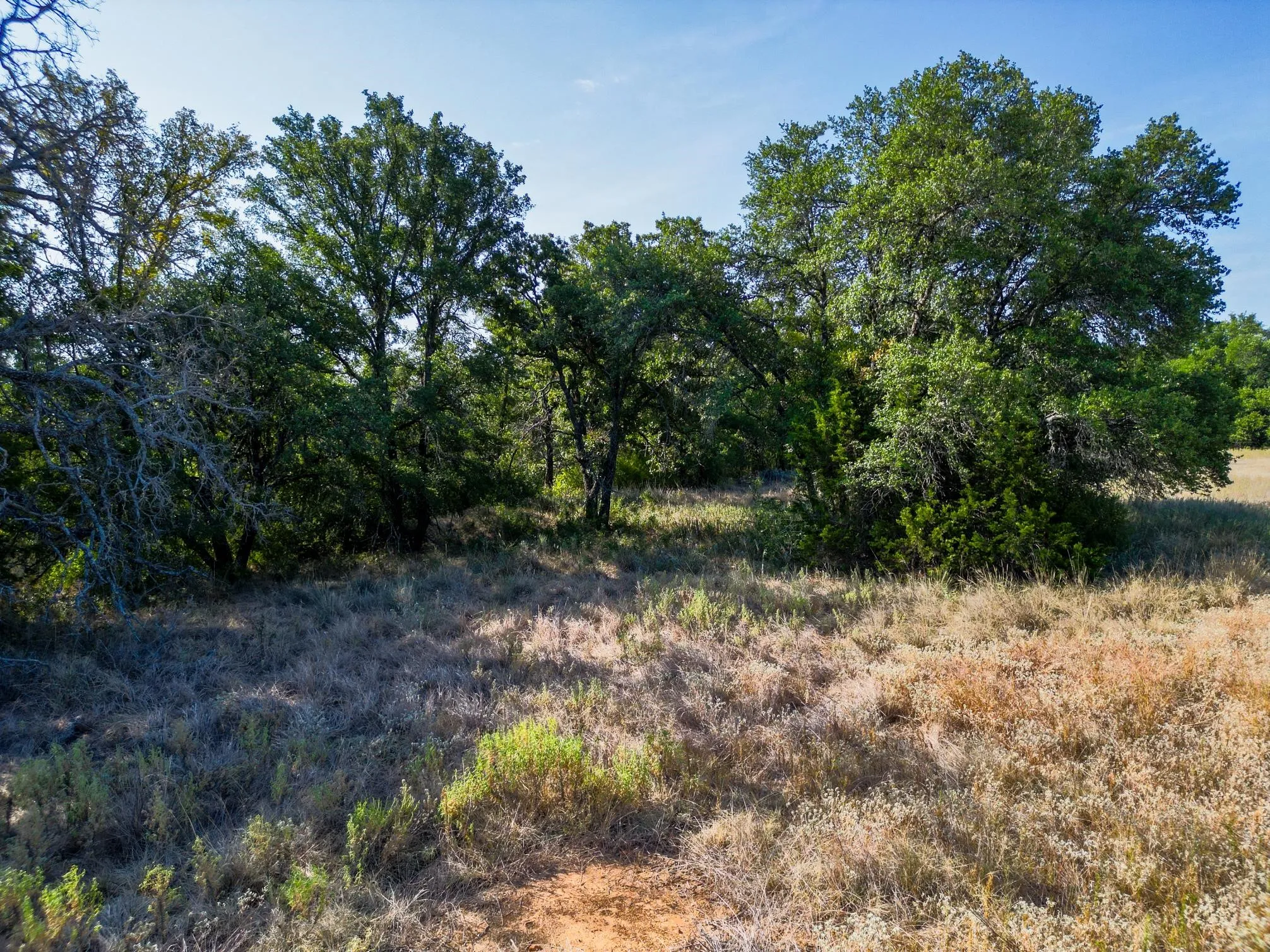 Unimproved Land For Sale in Erath County , TBD Ridgeview Court, Mingus, Texas 76463, 0, 0, Garage spaces, 0 Sqft, built in 0, mls#21315416, Real Estate Agent in Mingus, Homes For Sale in Erath county, Homes For Sale in Mingus, Realtor in Mingus Texas, Real Estate Brokerage Independent Realty Texas, Luminita Cordes Realtor
