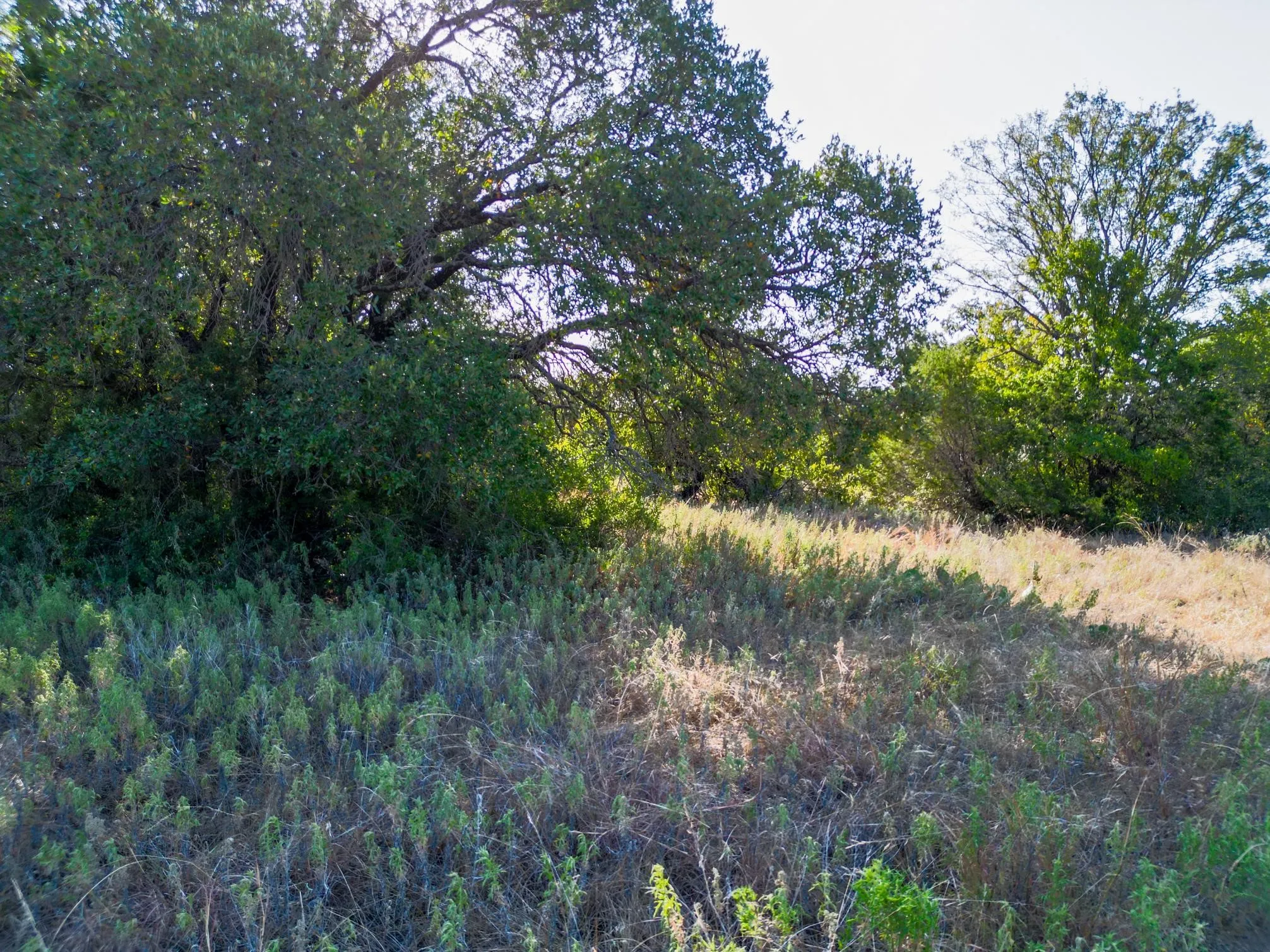 Unimproved Land For Sale in Erath County , TBD Ridgeview Court, Mingus, Texas 76463, 0, 0, Garage spaces, 0 Sqft, built in 0, mls#21315416, Real Estate Agent in Mingus, Homes For Sale in Erath county, Homes For Sale in Mingus, Realtor in Mingus Texas, Real Estate Brokerage Independent Realty Texas, Luminita Cordes Realtor