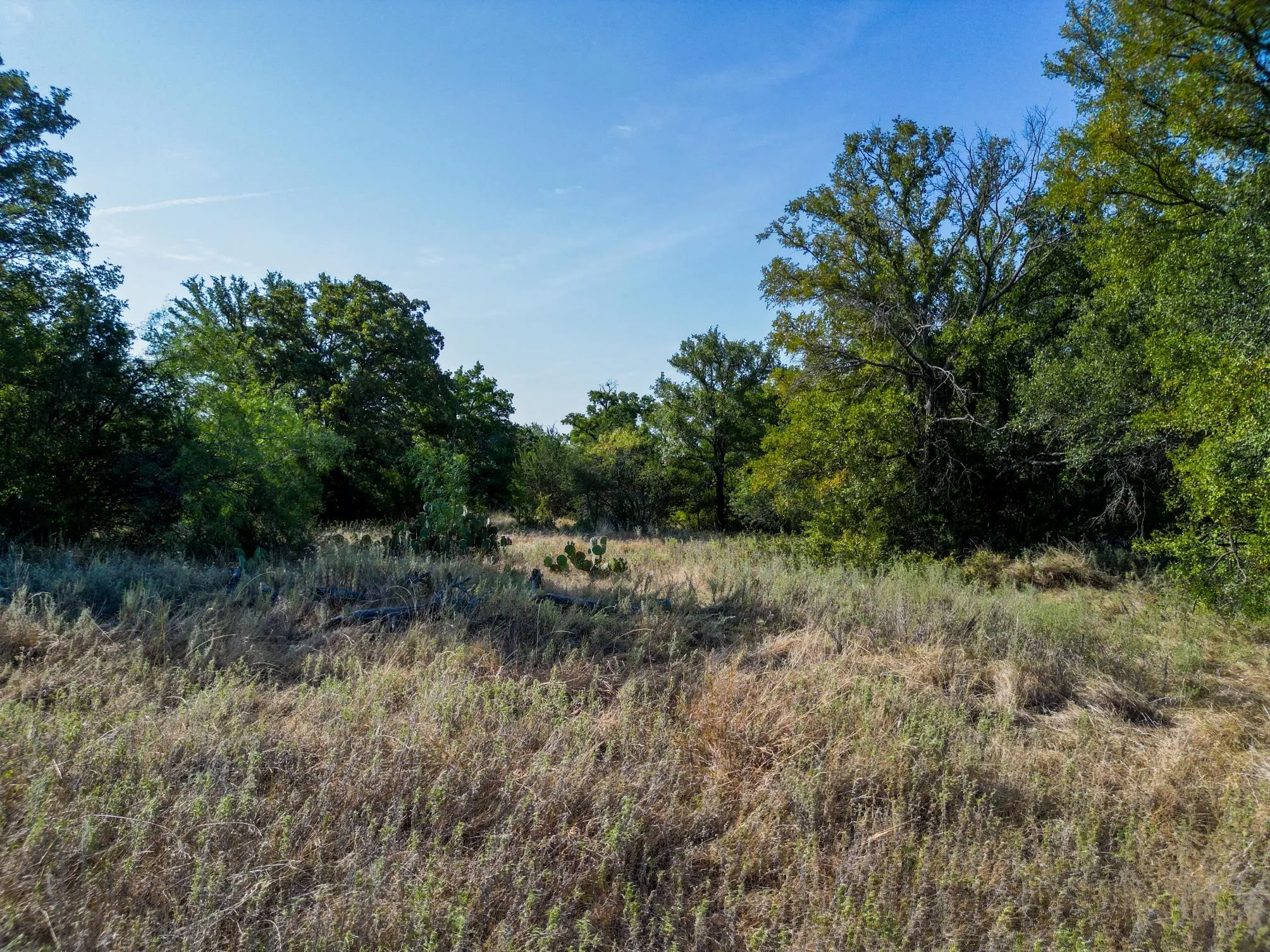 Unimproved Land For Sale in Erath County , TBD Ridgeview Court, Mingus, Texas 76463, 0, 0, Garage spaces, 0 Sqft, built in 0, mls#21315416, Real Estate Agent in Mingus, Homes For Sale in Erath county, Homes For Sale in Mingus, Realtor in Mingus Texas, Real Estate Brokerage Independent Realty Texas, Luminita Cordes Realtor