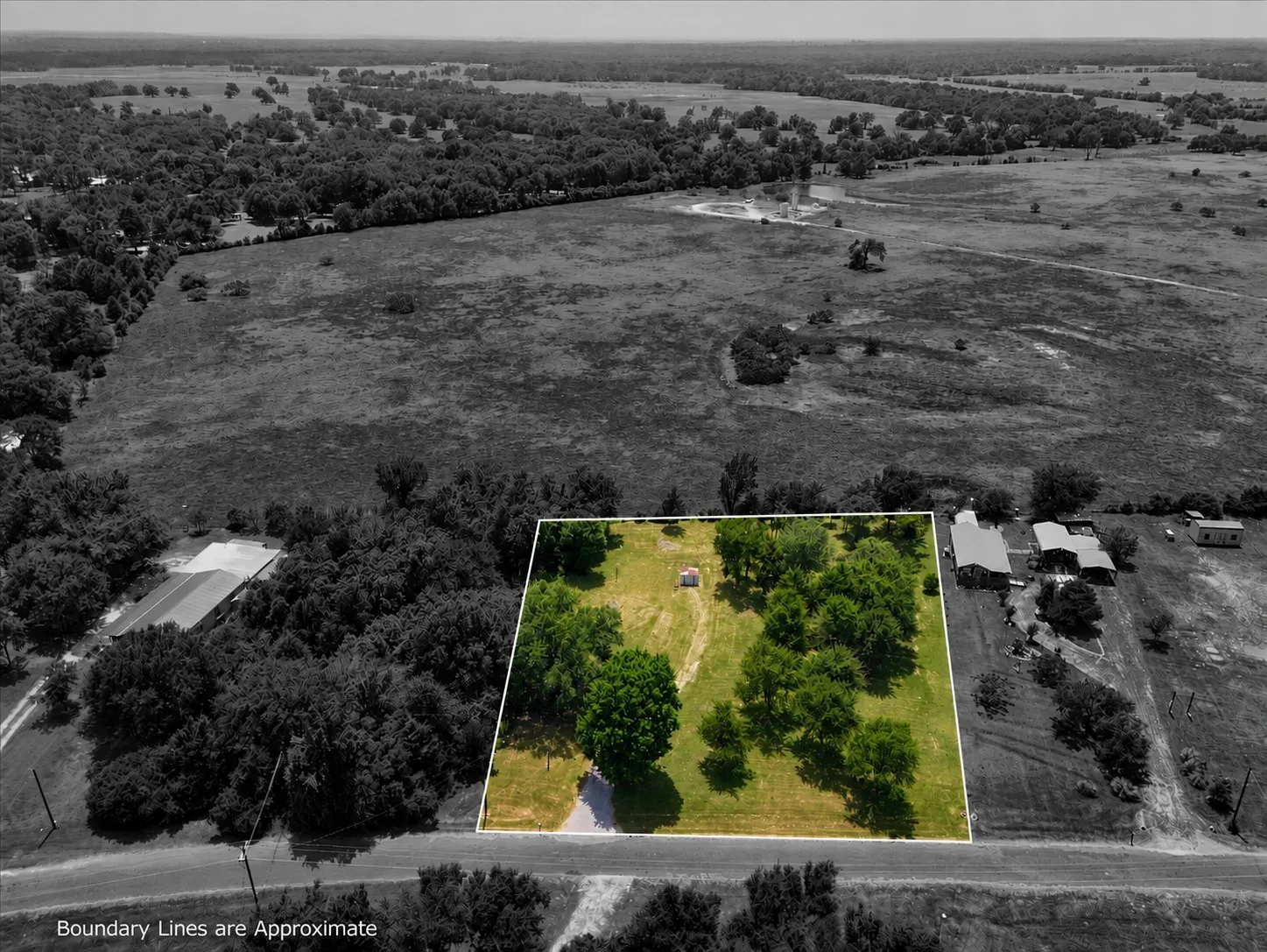 Expansive parcel featuring a grassy lot with mature trees and a gravel driveway