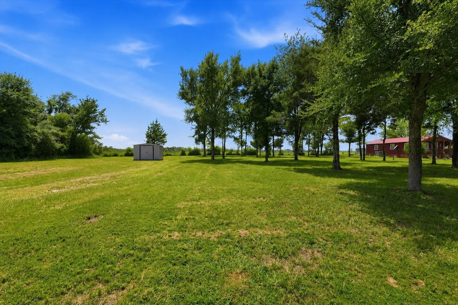 Expansive grassy area with scattered mature trees and a detached shed