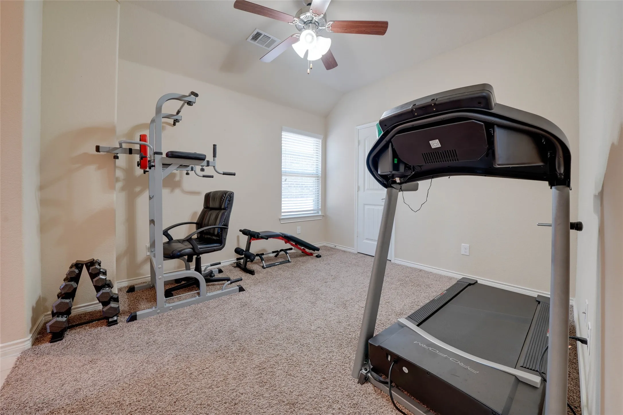 Exercise area featuring lofted ceiling, carpet floors, and ceiling fan