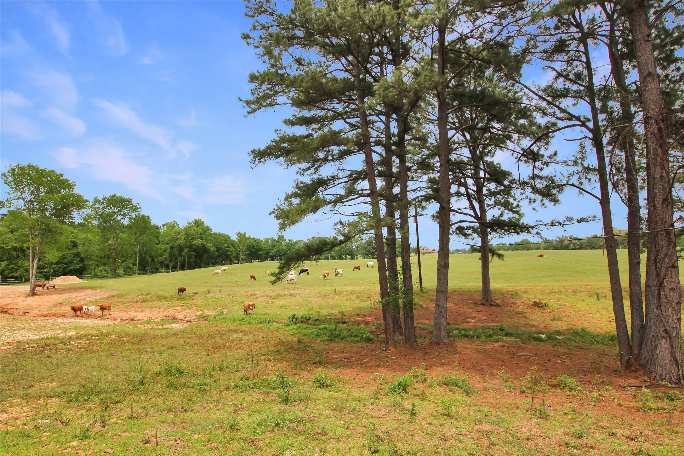 Single Family Residence For Sale in Cherokee County , 19413 US Highway 79 E, Jacksonville, Texas 75766, 5 Bedroom, 5 Bathroom, 3 Garage spaces, 6,151 Sqft, built in 1976, mls#21318293, Real Estate Agent in Jacksonville, Homes For Sale in Cherokee county, Homes For Sale in Jacksonville, Realtor in Jacksonville Texas, Real Estate Brokerage Independent Realty Texas, Luminita Cordes Realtor