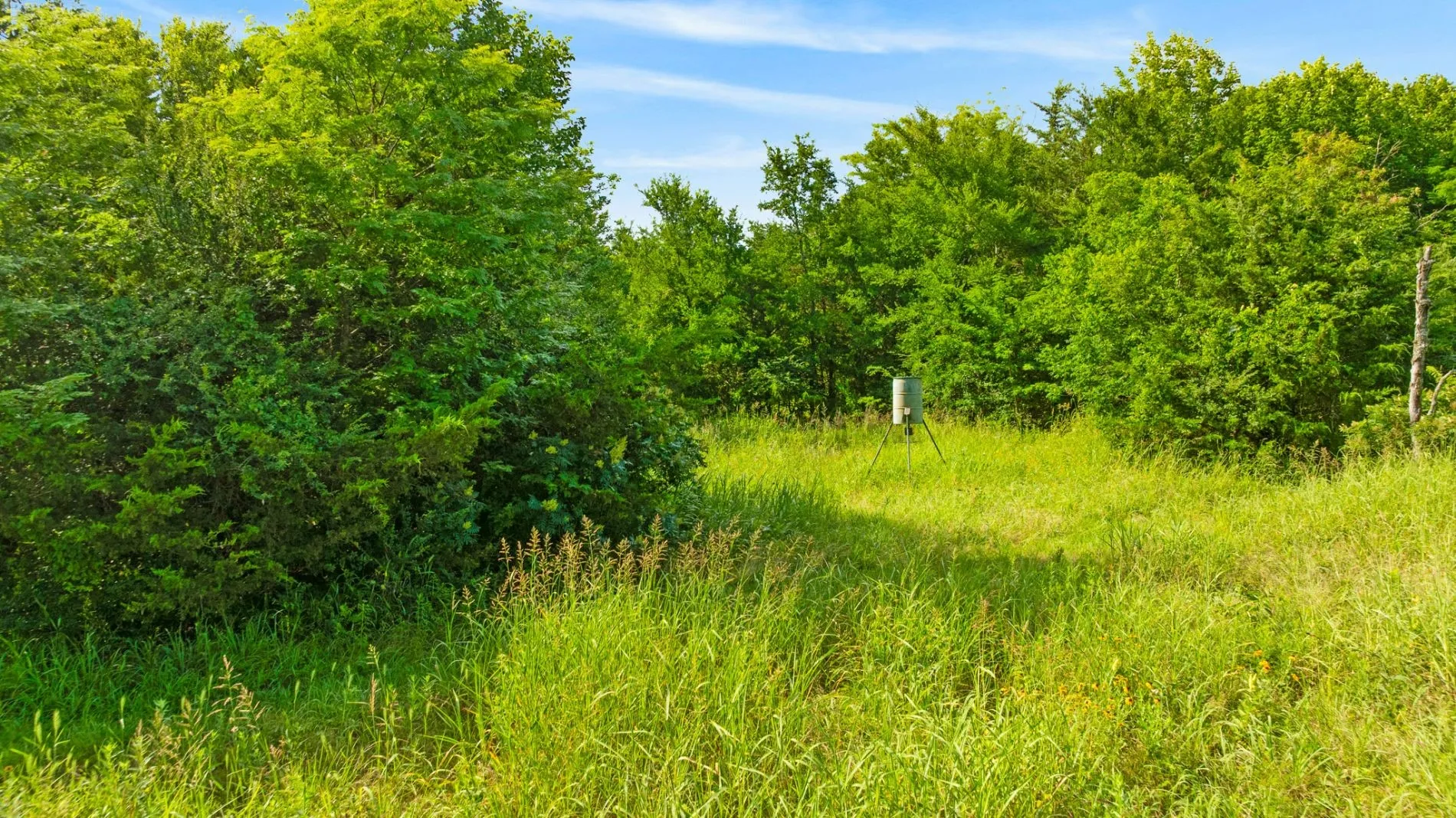 Farm For Sale in Fannin County , 1101 County Road 2810, Honey Grove, Texas 75446, 3 Bedroom, 3 Bathroom, Garage spaces, 2,060 Sqft, built in 2007, mls#21317071, Real Estate Agent in Honey Grove, Homes For Sale in Fannin county, Homes For Sale in Honey Grove, Realtor in Honey Grove Texas, Real Estate Brokerage Independent Realty Texas, Luminita Cordes Realtor