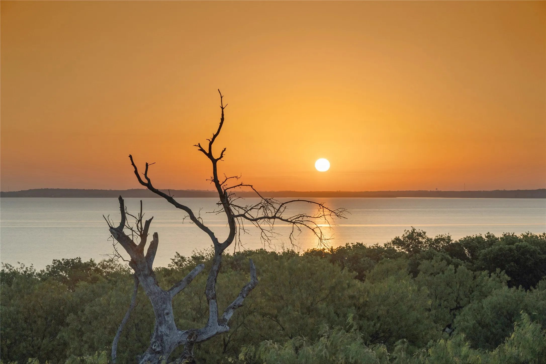 Expansive water body with a glowing horizon