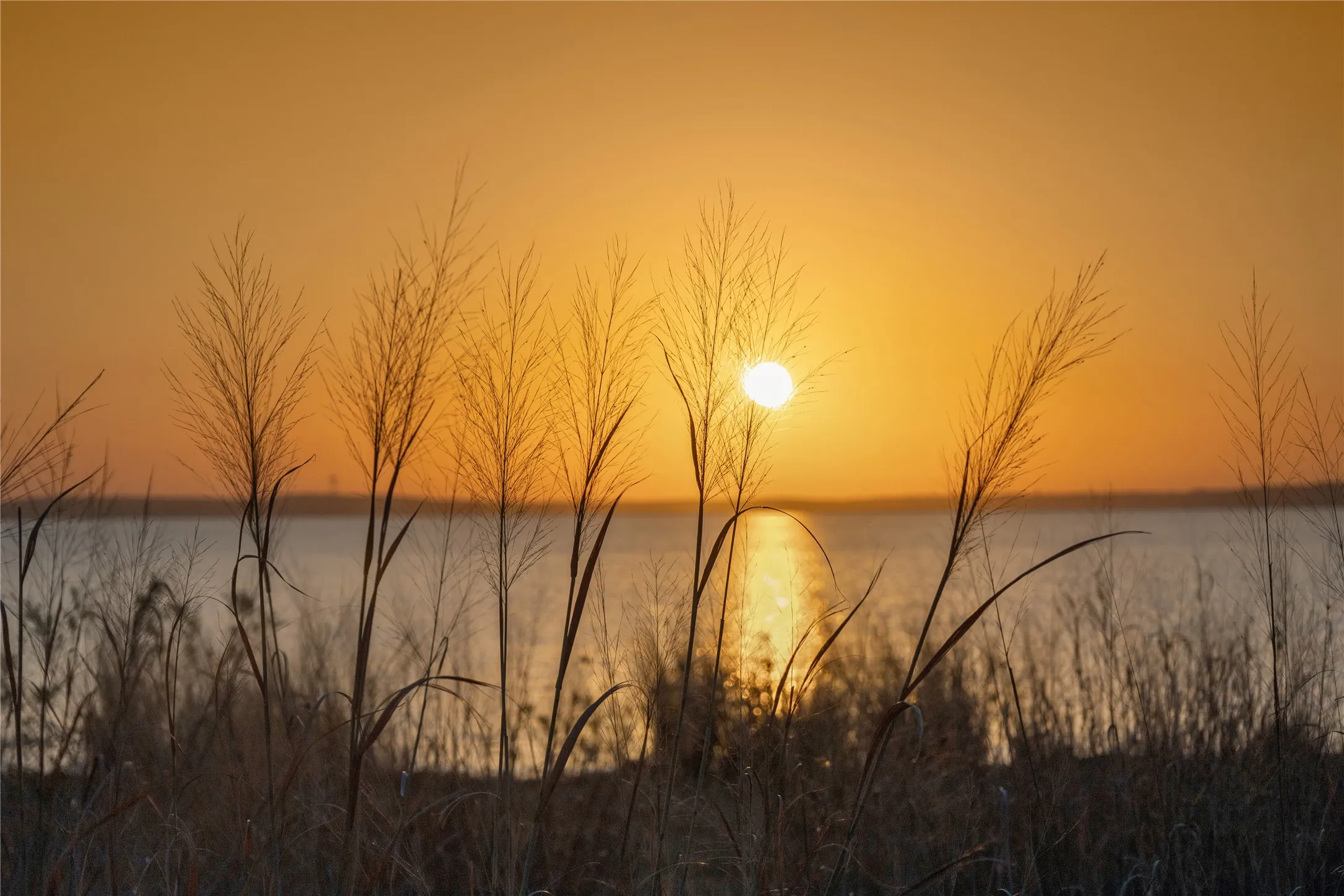 Waterfront setting featuring a wide expanse of water, natural grasses, and a vibrant sky