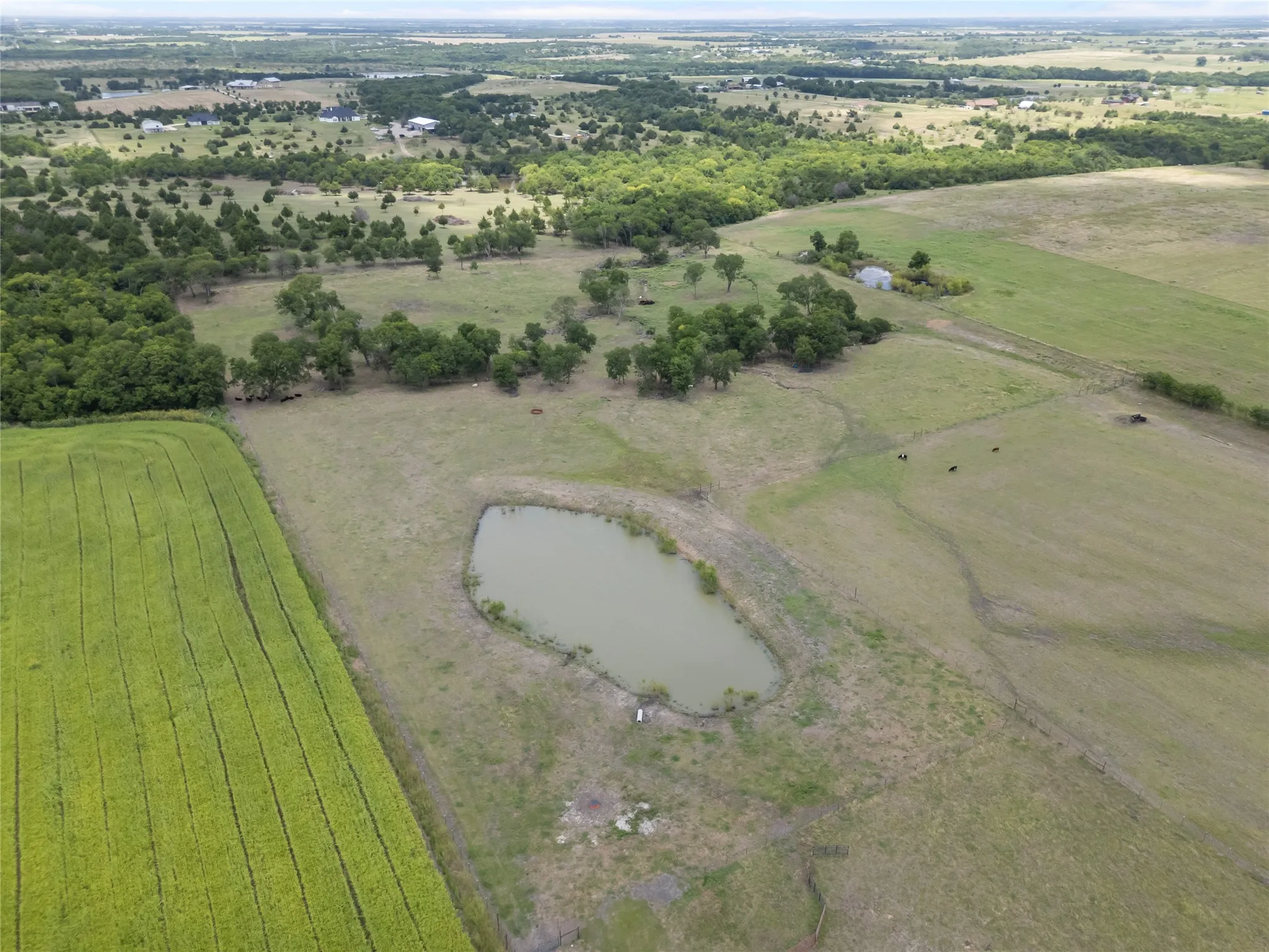 Farm For Sale in Ellis County , 850 Cooke Road, Ennis, Texas 75119, 4 Bedroom, 3 Bathroom, 2 Garage spaces, 2,785 Sqft, built in 2023, mls#21316620, Real Estate Agent in Ennis, Homes For Sale in Ellis county, Homes For Sale in Ennis, Realtor in Ennis Texas, Real Estate Brokerage Independent Realty Texas, Luminita Cordes Realtor