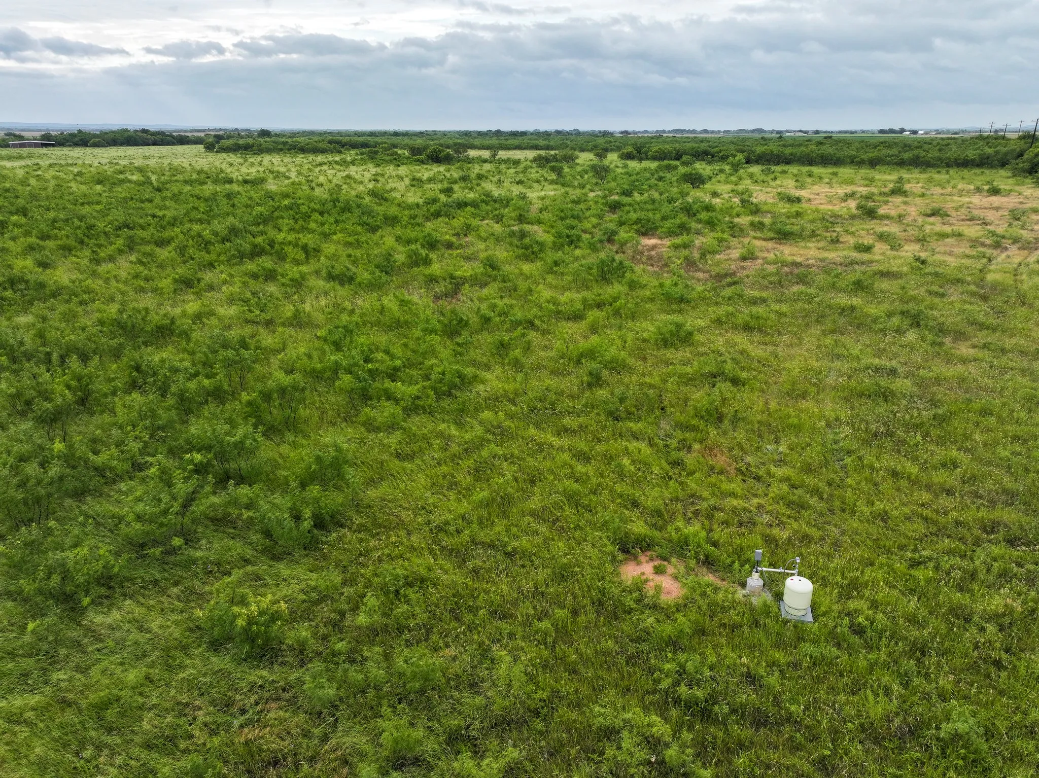 Unimproved Land For Sale in Taylor County , 106 Porcupine Trail, Tuscola, Texas 79562, 0, 0, Garage spaces, 0 Sqft, built in 0, mls#21318374, Real Estate Agent in Tuscola, Homes For Sale in Taylor county, Homes For Sale in Tuscola, Realtor in Tuscola Texas, Real Estate Brokerage Independent Realty Texas, Luminita Cordes Realtor