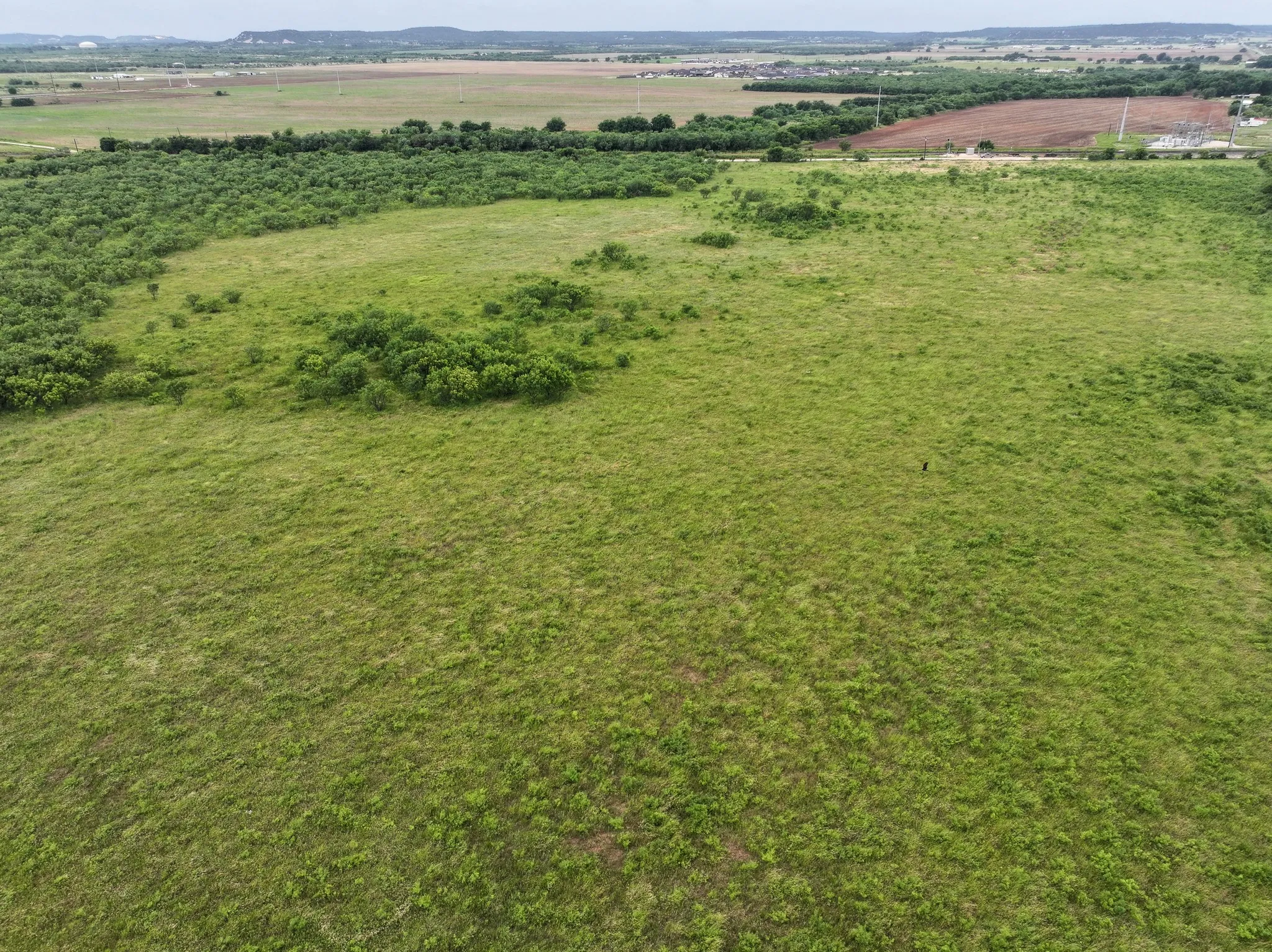Unimproved Land For Sale in Taylor County , 106 Porcupine Trail, Tuscola, Texas 79562, 0, 0, Garage spaces, 0 Sqft, built in 0, mls#21318374, Real Estate Agent in Tuscola, Homes For Sale in Taylor county, Homes For Sale in Tuscola, Realtor in Tuscola Texas, Real Estate Brokerage Independent Realty Texas, Luminita Cordes Realtor