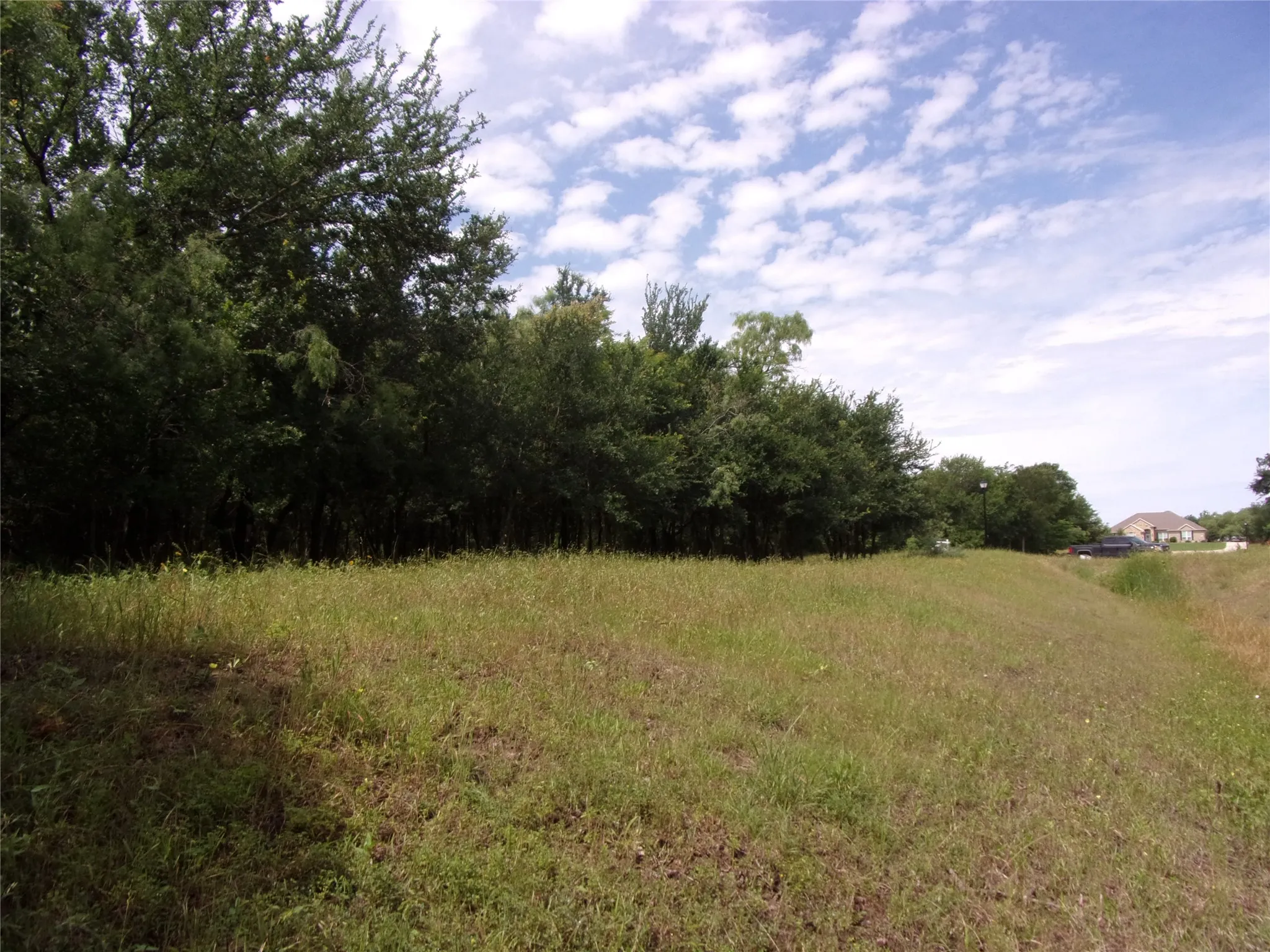 Looking back towards front. Driveway area as the house would be to the left. The first creek crossing is behind this pic.