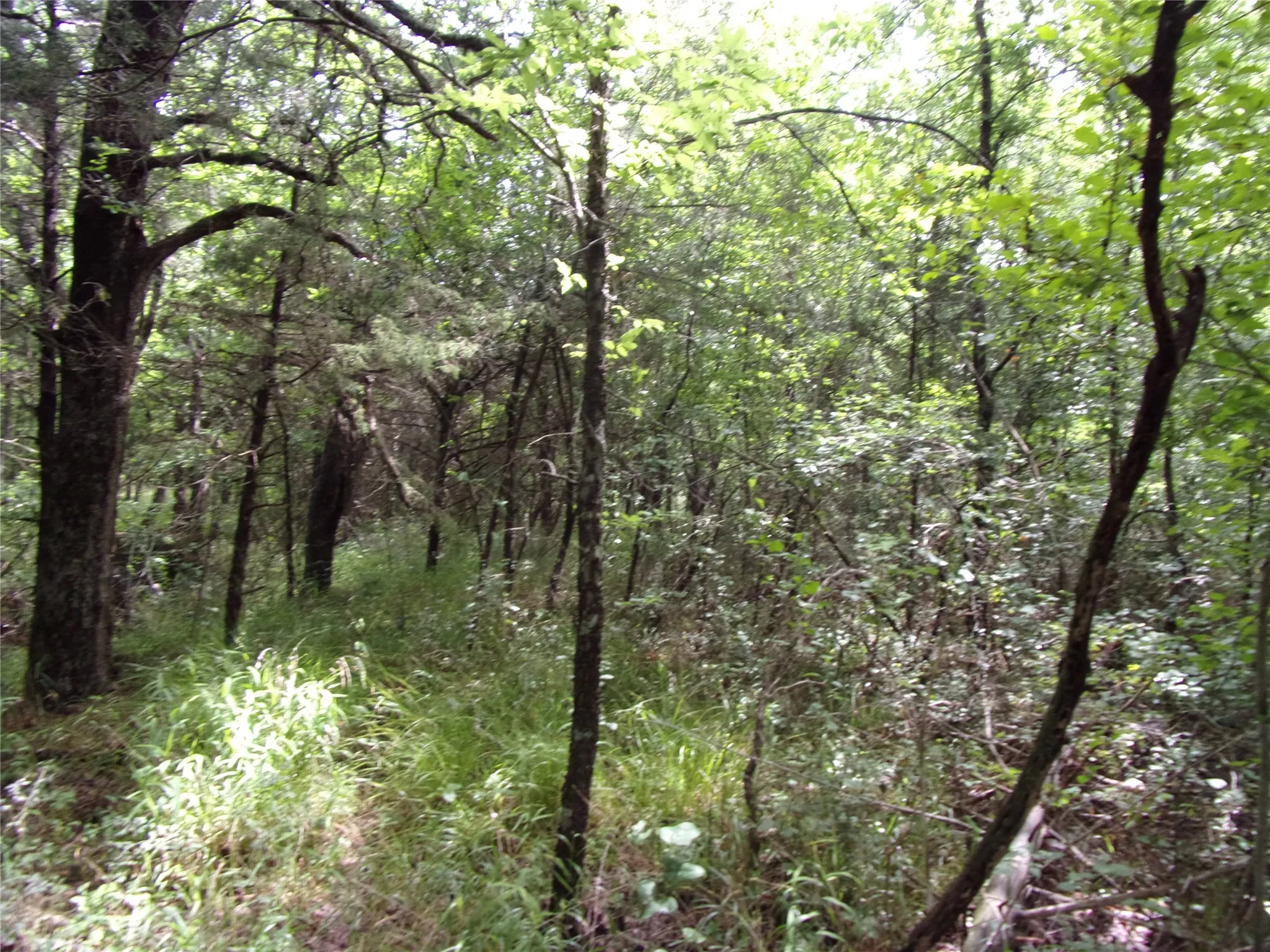 Improved Land For Sale in Hunt County , 4188 Willow Oak Bend, Royse City, Texas 75189, 0, 0, Garage spaces, 0 Sqft, built in 0, Price $164,900, mls#21318419, Real Estate Agent in Royse City, Homes For Sale in Hunt county, Homes For Sale in Royse City, Realtor in Royse City Texas, Real Estate Brokerage Independent Realty Texas, Luminita Cordes Realtor