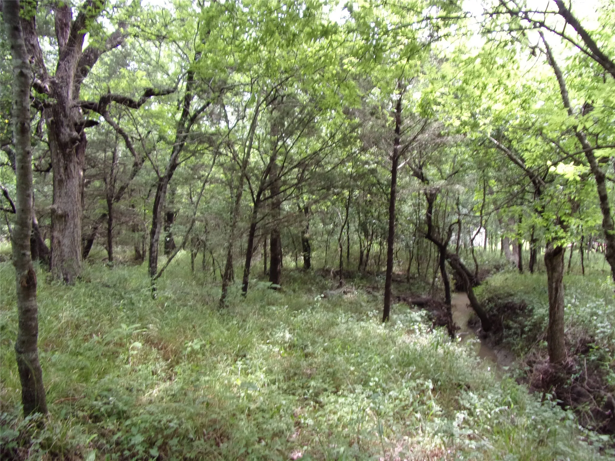 Improved Land For Sale in Hunt County , 4188 Willow Oak Bend, Royse City, Texas 75189, 0, 0, Garage spaces, 0 Sqft, built in 0, Price $164,900, mls#21318419, Real Estate Agent in Royse City, Homes For Sale in Hunt county, Homes For Sale in Royse City, Realtor in Royse City Texas, Real Estate Brokerage Independent Realty Texas, Luminita Cordes Realtor