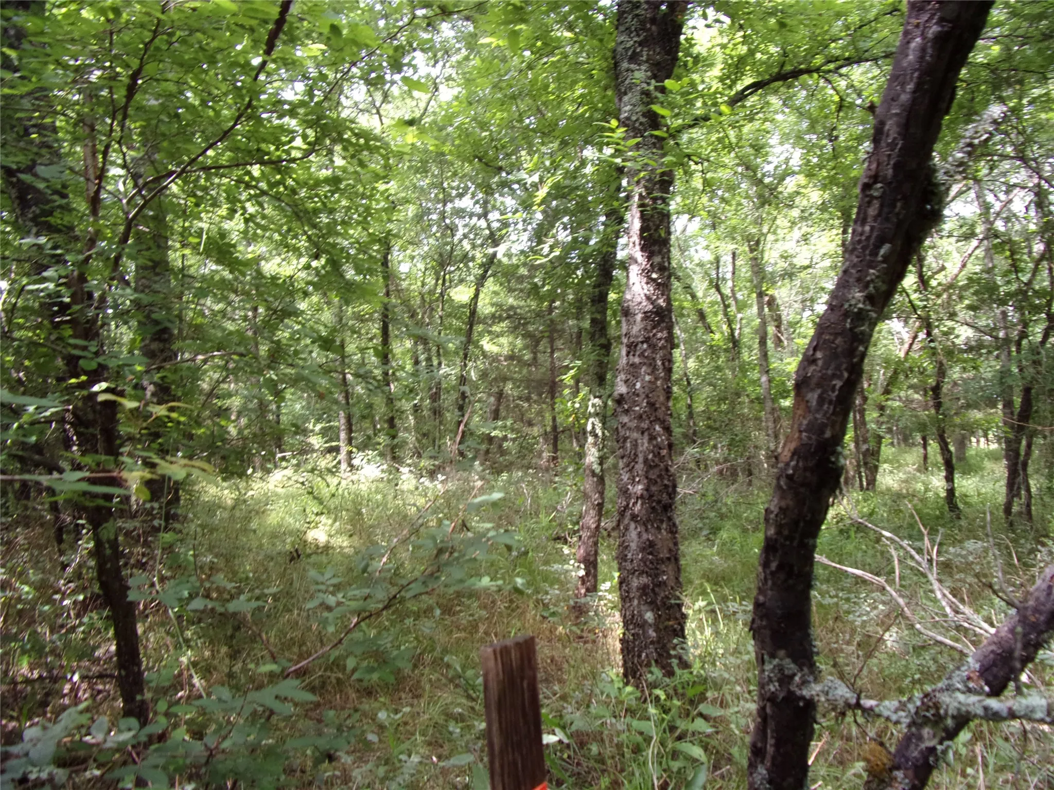 Improved Land For Sale in Hunt County , 4188 Willow Oak Bend, Royse City, Texas 75189, 0, 0, Garage spaces, 0 Sqft, built in 0, Price $164,900, mls#21318419, Real Estate Agent in Royse City, Homes For Sale in Hunt county, Homes For Sale in Royse City, Realtor in Royse City Texas, Real Estate Brokerage Independent Realty Texas, Luminita Cordes Realtor