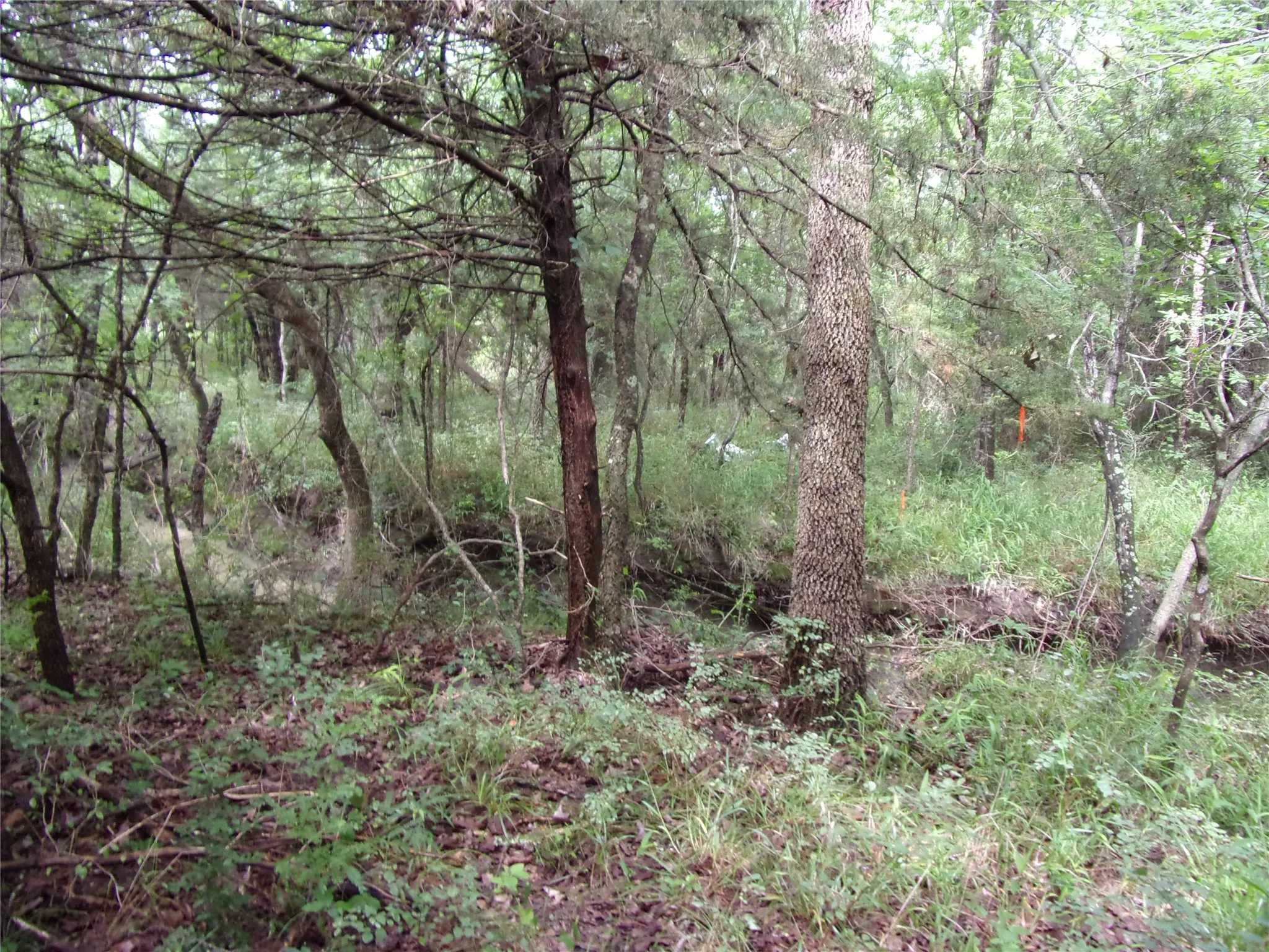 Improved Land For Sale in Hunt County , 4188 Willow Oak Bend, Royse City, Texas 75189, 0, 0, Garage spaces, 0 Sqft, built in 0, Price $164,900, mls#21318419, Real Estate Agent in Royse City, Homes For Sale in Hunt county, Homes For Sale in Royse City, Realtor in Royse City Texas, Real Estate Brokerage Independent Realty Texas, Luminita Cordes Realtor