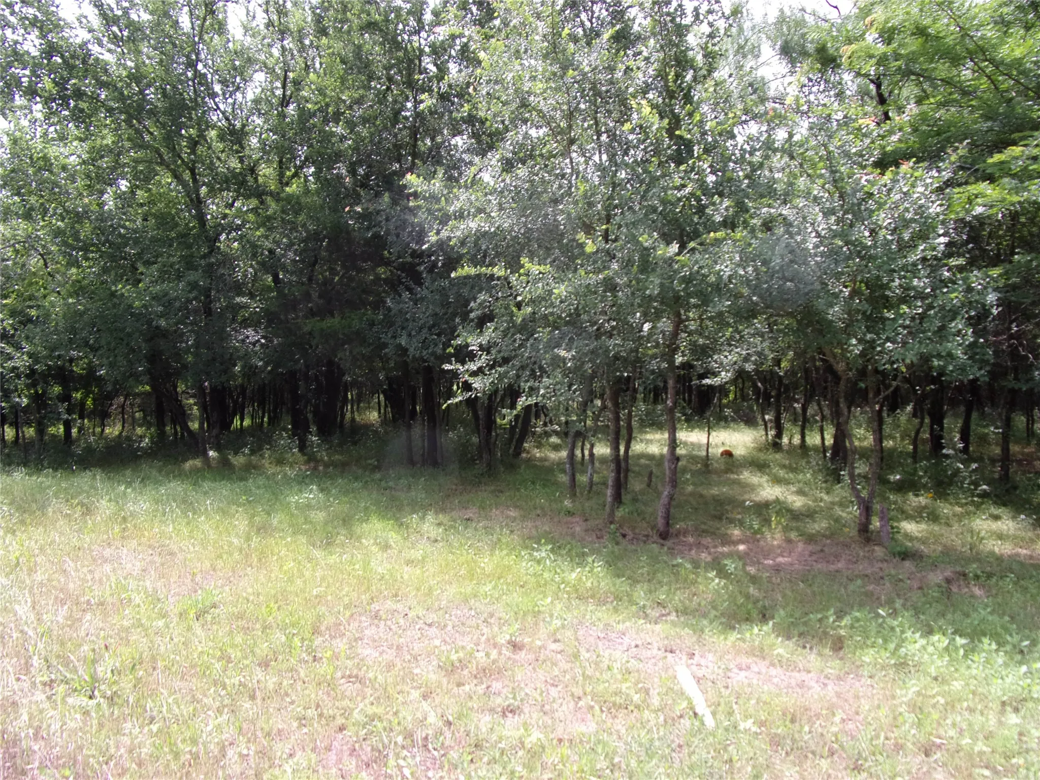 Walking down the left property line
