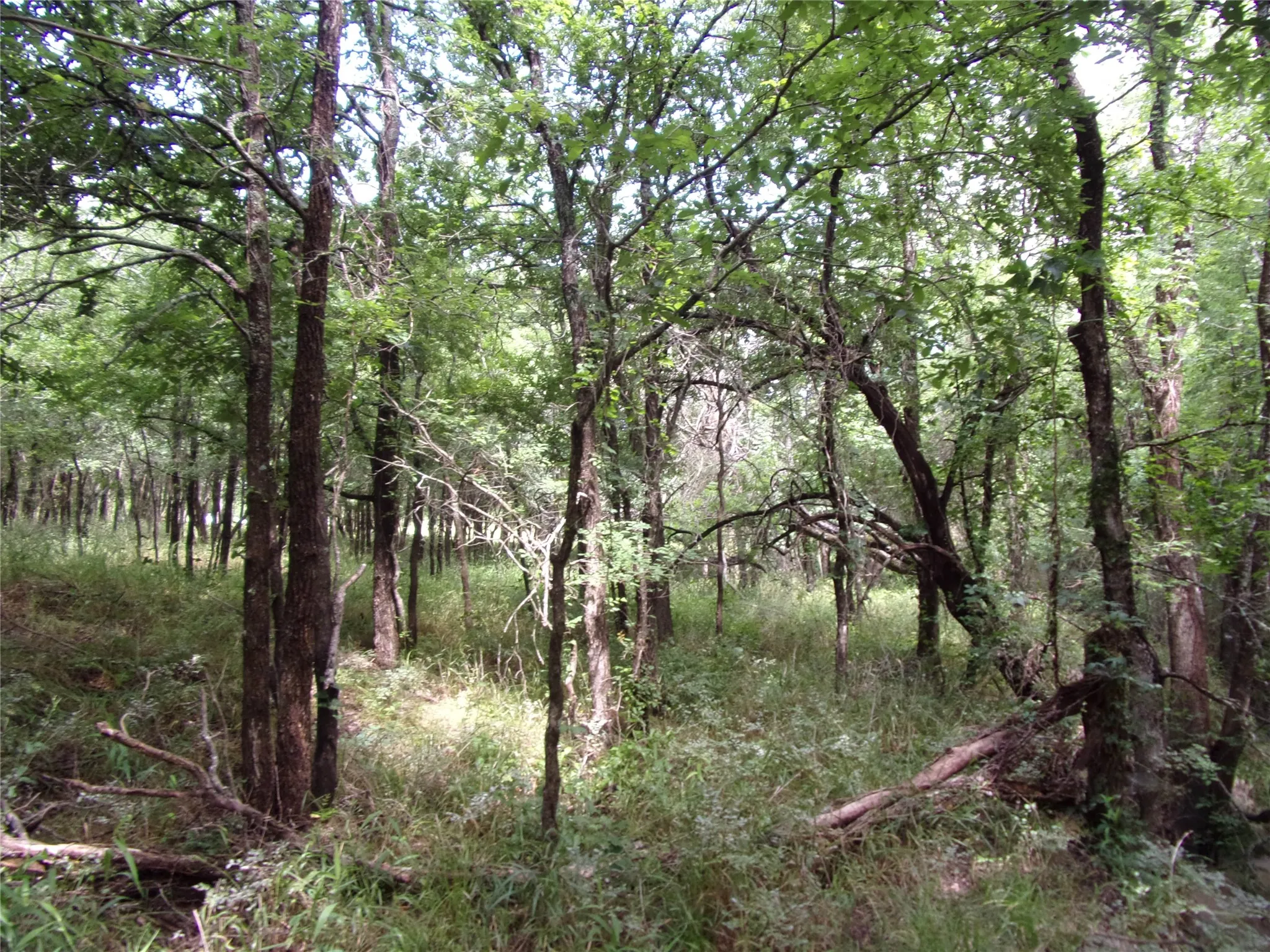 Improved Land For Sale in Hunt County , 4188 Willow Oak Bend, Royse City, Texas 75189, 0, 0, Garage spaces, 0 Sqft, built in 0, Price $164,900, mls#21318419, Real Estate Agent in Royse City, Homes For Sale in Hunt county, Homes For Sale in Royse City, Realtor in Royse City Texas, Real Estate Brokerage Independent Realty Texas, Luminita Cordes Realtor