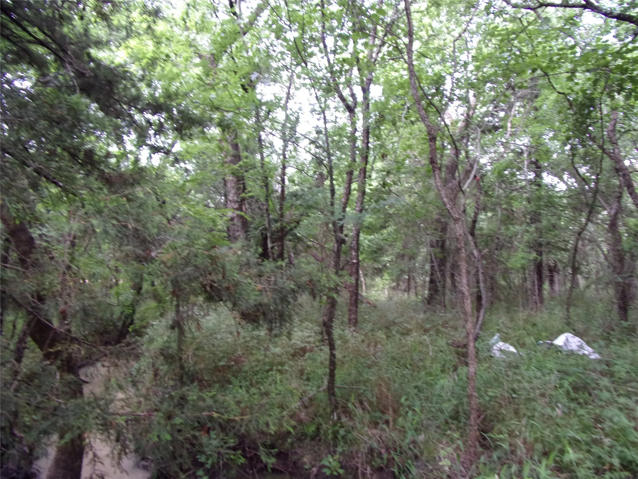 Improved Land For Sale in Hunt County , 4188 Willow Oak Bend, Royse City, Texas 75189, 0, 0, Garage spaces, 0 Sqft, built in 0, Price $164,900, mls#21318419, Real Estate Agent in Royse City, Homes For Sale in Hunt county, Homes For Sale in Royse City, Realtor in Royse City Texas, Real Estate Brokerage Independent Realty Texas, Luminita Cordes Realtor