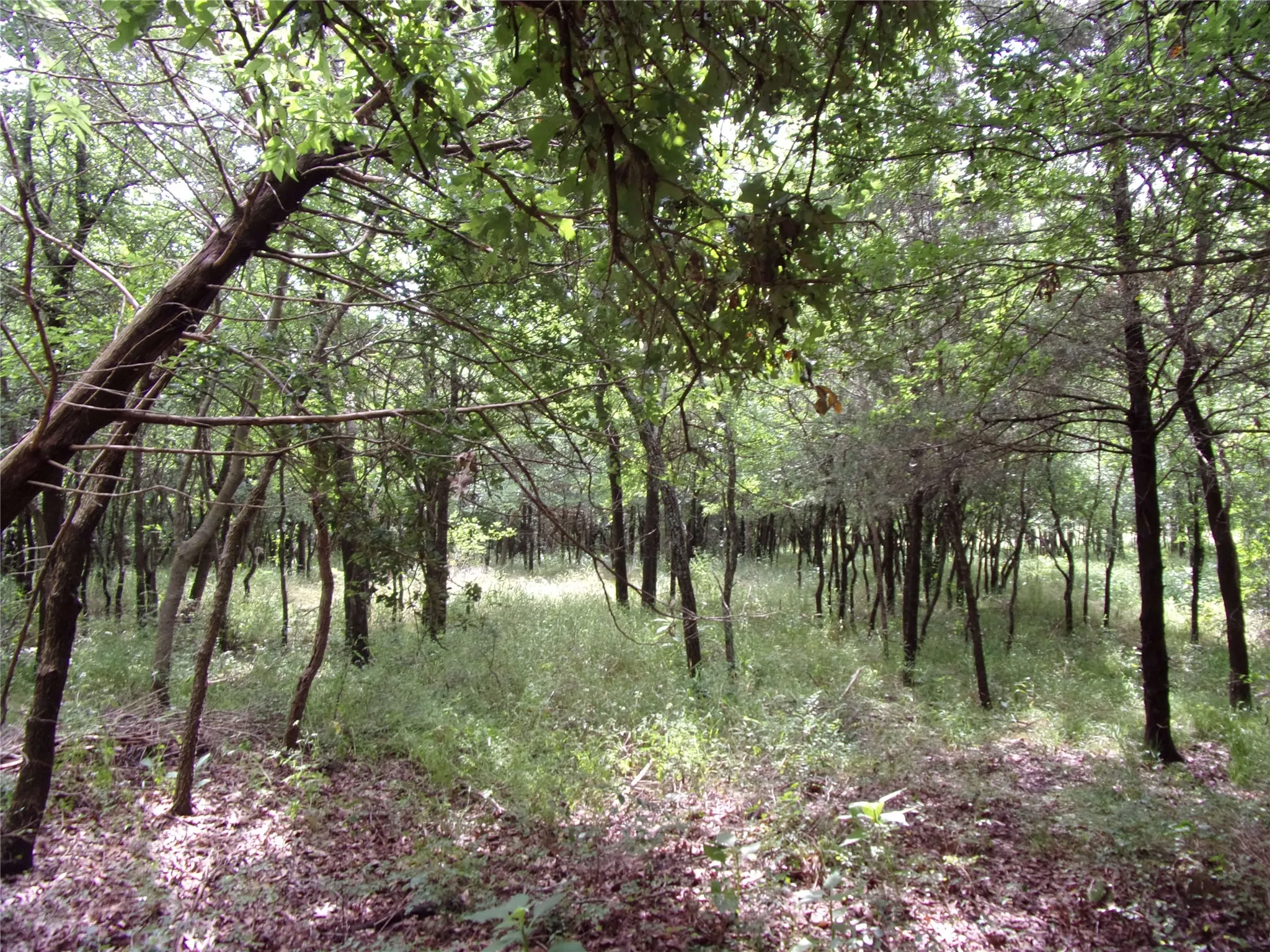 Middle headed towards back right property line.