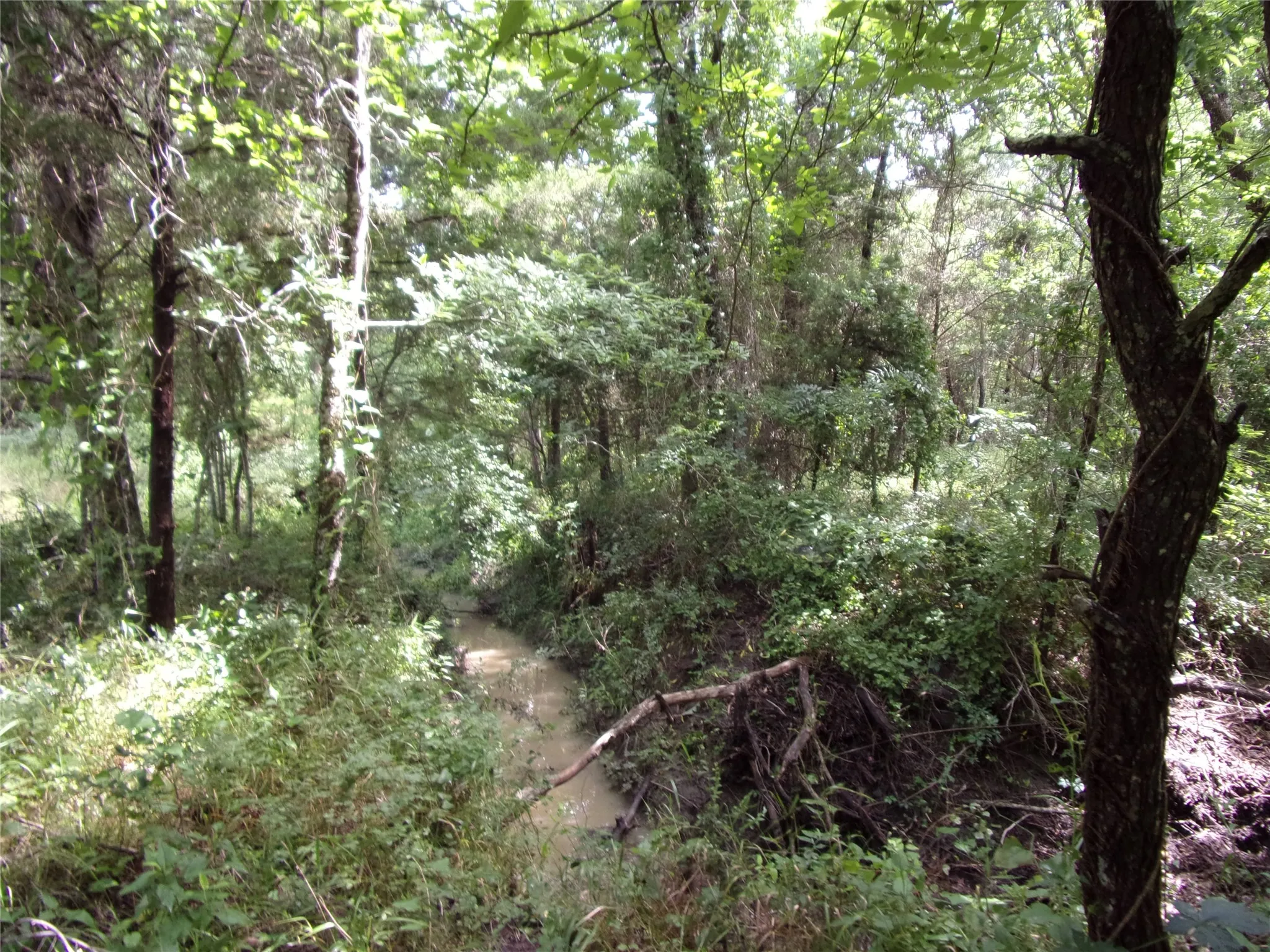 Improved Land For Sale in Hunt County , 4188 Willow Oak Bend, Royse City, Texas 75189, 0, 0, Garage spaces, 0 Sqft, built in 0, Price $164,900, mls#21318419, Real Estate Agent in Royse City, Homes For Sale in Hunt county, Homes For Sale in Royse City, Realtor in Royse City Texas, Real Estate Brokerage Independent Realty Texas, Luminita Cordes Realtor
