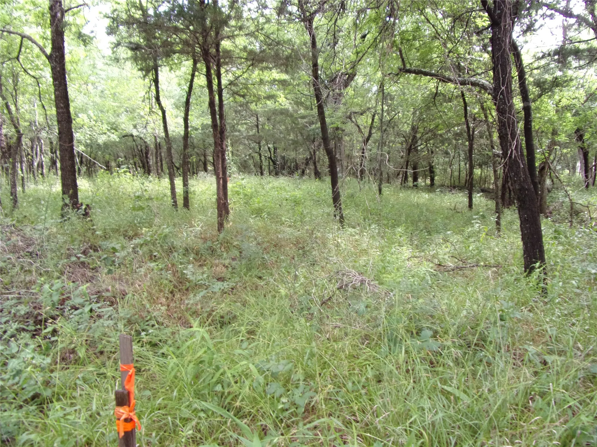 Improved Land For Sale in Hunt County , 4188 Willow Oak Bend, Royse City, Texas 75189, 0, 0, Garage spaces, 0 Sqft, built in 0, Price $164,900, mls#21318419, Real Estate Agent in Royse City, Homes For Sale in Hunt county, Homes For Sale in Royse City, Realtor in Royse City Texas, Real Estate Brokerage Independent Realty Texas, Luminita Cordes Realtor