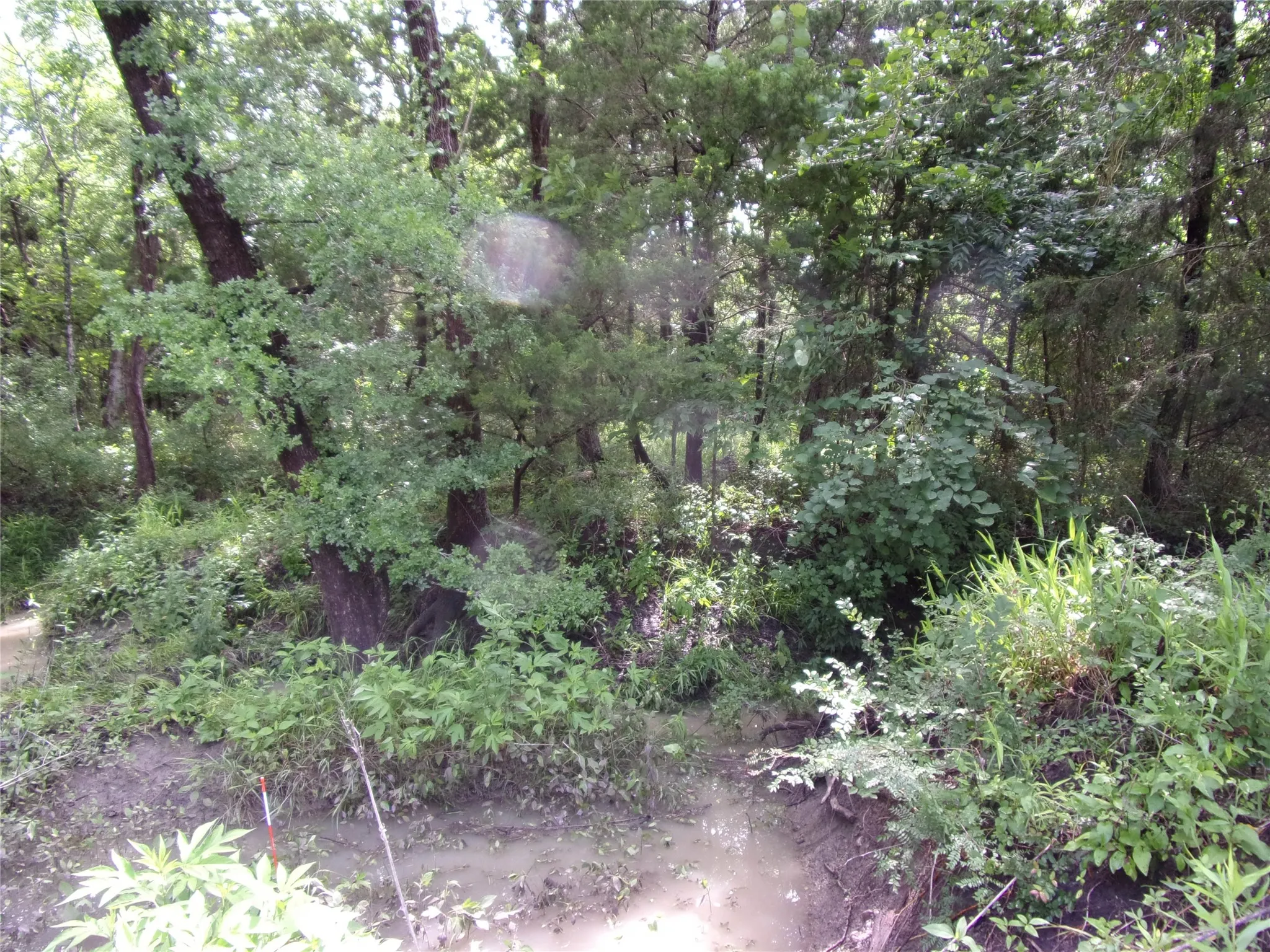 Improved Land For Sale in Hunt County , 4188 Willow Oak Bend, Royse City, Texas 75189, 0, 0, Garage spaces, 0 Sqft, built in 0, Price $164,900, mls#21318419, Real Estate Agent in Royse City, Homes For Sale in Hunt county, Homes For Sale in Royse City, Realtor in Royse City Texas, Real Estate Brokerage Independent Realty Texas, Luminita Cordes Realtor