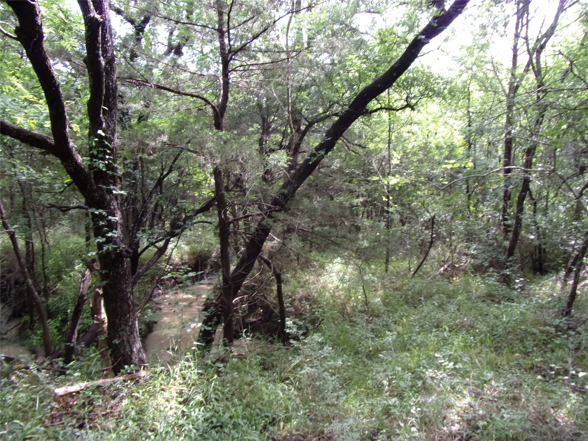 Improved Land For Sale in Hunt County , 4188 Willow Oak Bend, Royse City, Texas 75189, 0, 0, Garage spaces, 0 Sqft, built in 0, Price $164,900, mls#21318419, Real Estate Agent in Royse City, Homes For Sale in Hunt county, Homes For Sale in Royse City, Realtor in Royse City Texas, Real Estate Brokerage Independent Realty Texas, Luminita Cordes Realtor