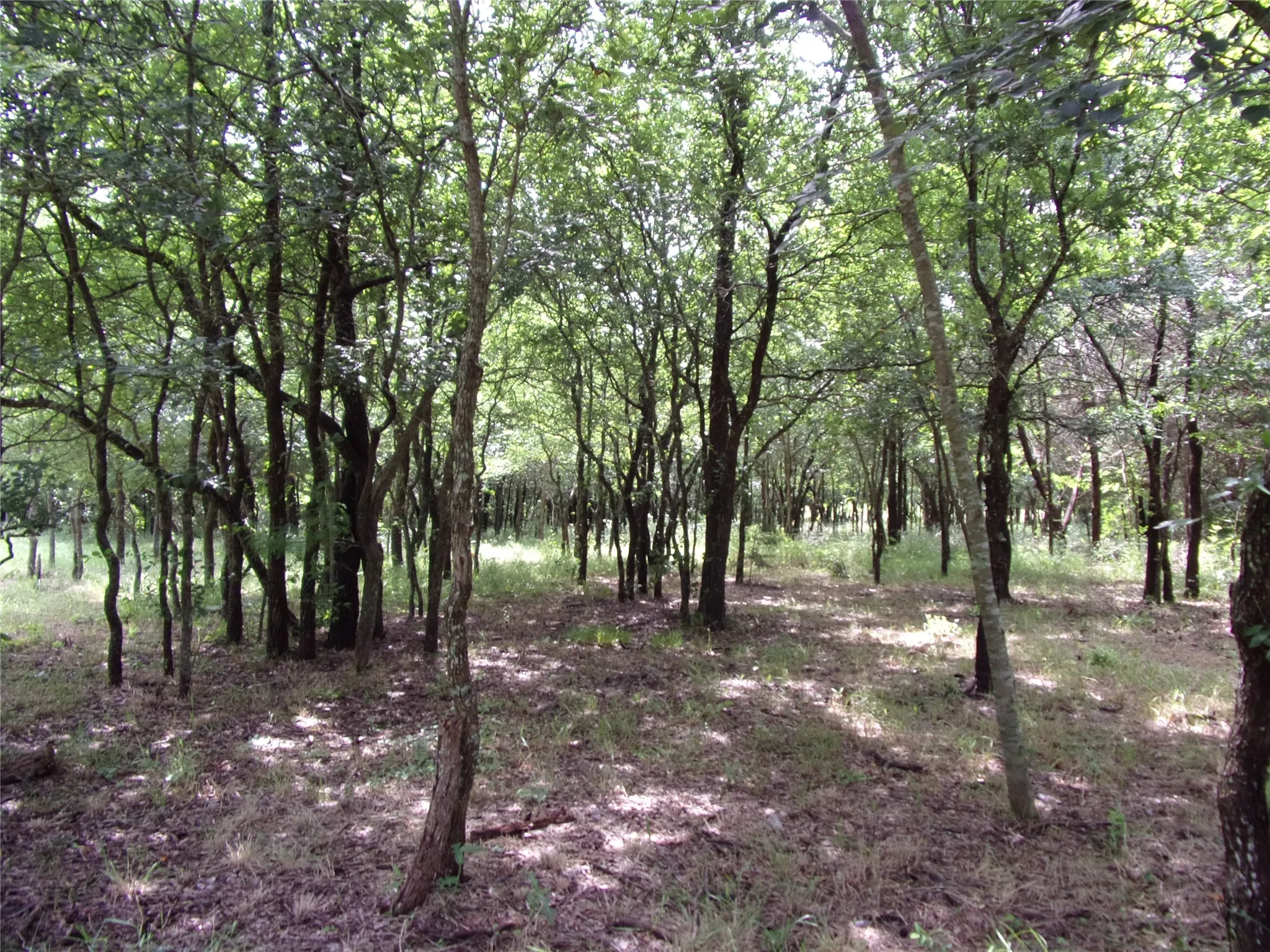 Improved Land For Sale in Hunt County , 4188 Willow Oak Bend, Royse City, Texas 75189, 0, 0, Garage spaces, 0 Sqft, built in 0, Price $164,900, mls#21318419, Real Estate Agent in Royse City, Homes For Sale in Hunt county, Homes For Sale in Royse City, Realtor in Royse City Texas, Real Estate Brokerage Independent Realty Texas, Luminita Cordes Realtor