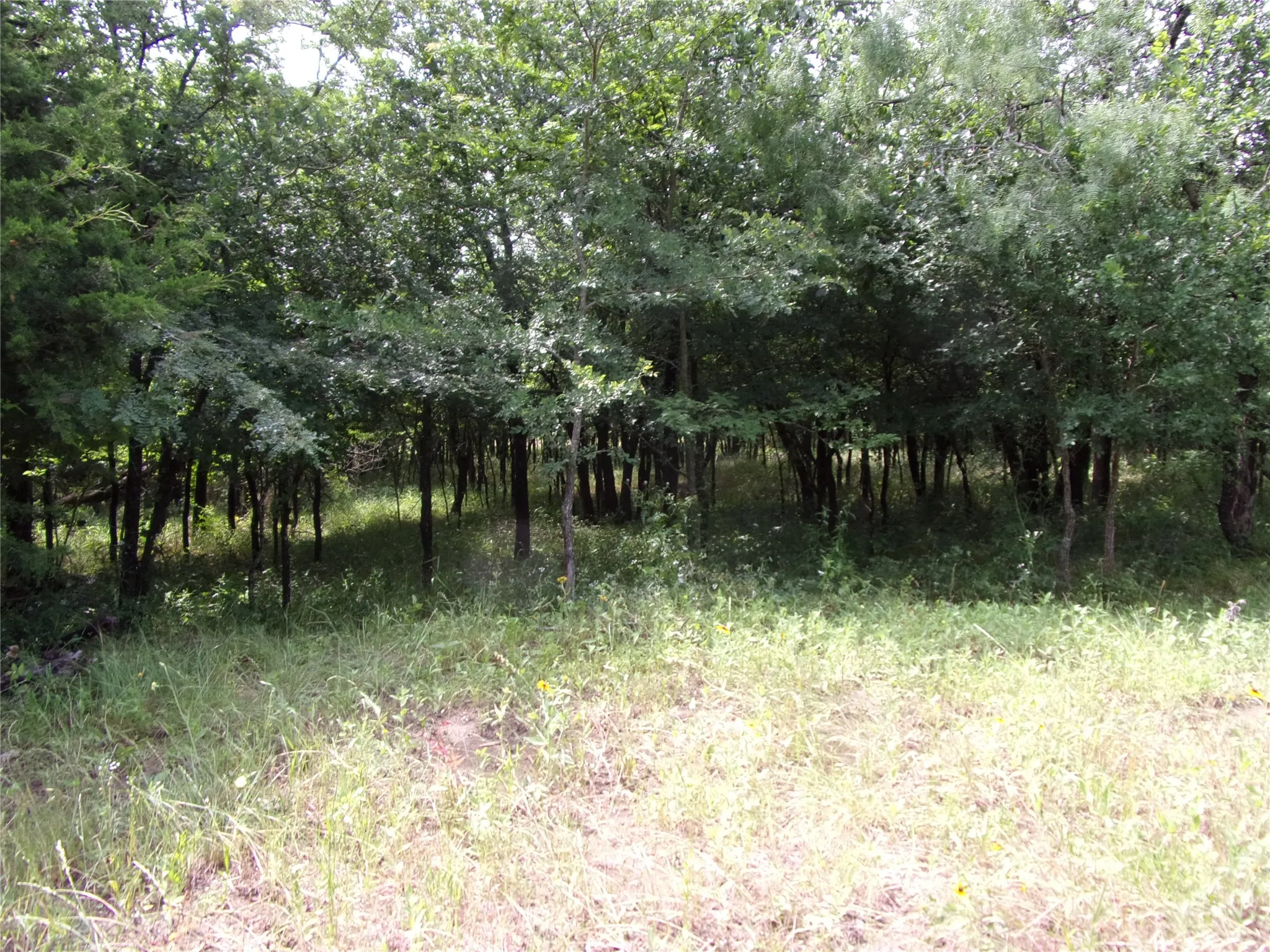 Improved Land For Sale in Hunt County , 4188 Willow Oak Bend, Royse City, Texas 75189, 0, 0, Garage spaces, 0 Sqft, built in 0, Price $164,900, mls#21318419, Real Estate Agent in Royse City, Homes For Sale in Hunt county, Homes For Sale in Royse City, Realtor in Royse City Texas, Real Estate Brokerage Independent Realty Texas, Luminita Cordes Realtor