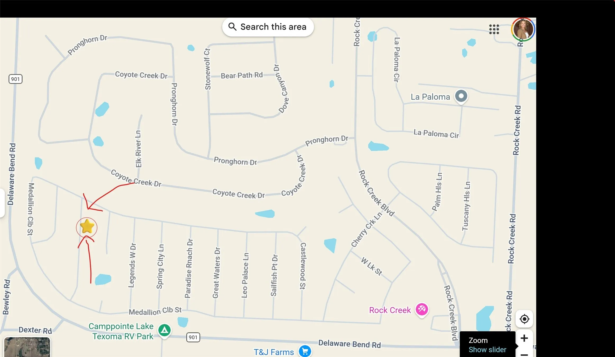 Unimproved Land For Sale in Grayson County , TBD Salem Glen Drive, Gordonville, Texas 76245, 0, 0, Garage spaces, 0 Sqft, built in 0, mls#21317706, Real Estate Agent in Gordonville, Homes For Sale in Grayson county, Homes For Sale in Gordonville, Realtor in Gordonville Texas, Real Estate Brokerage Independent Realty Texas, Luminita Cordes Realtor