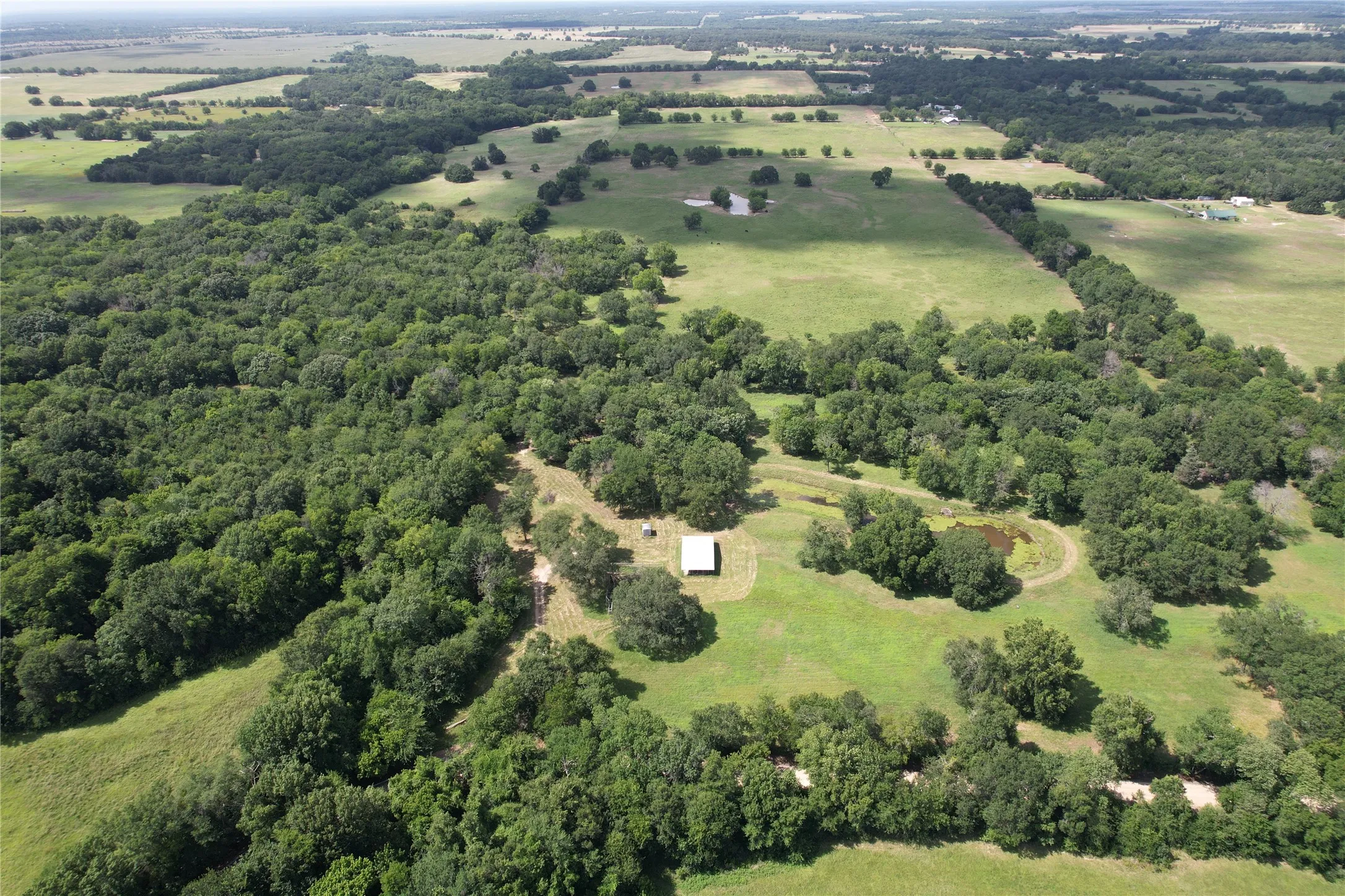 Unimproved Land For Sale in Hopkins County , TBD County Road 4719, Cumby, Texas 75433, 0, 0, Garage spaces, 0 Sqft, built in 0, mls#21318213, Real Estate Agent in Cumby, Homes For Sale in Hopkins county, Homes For Sale in Cumby, Realtor in Cumby Texas, Real Estate Brokerage Independent Realty Texas, Luminita Cordes Realtor