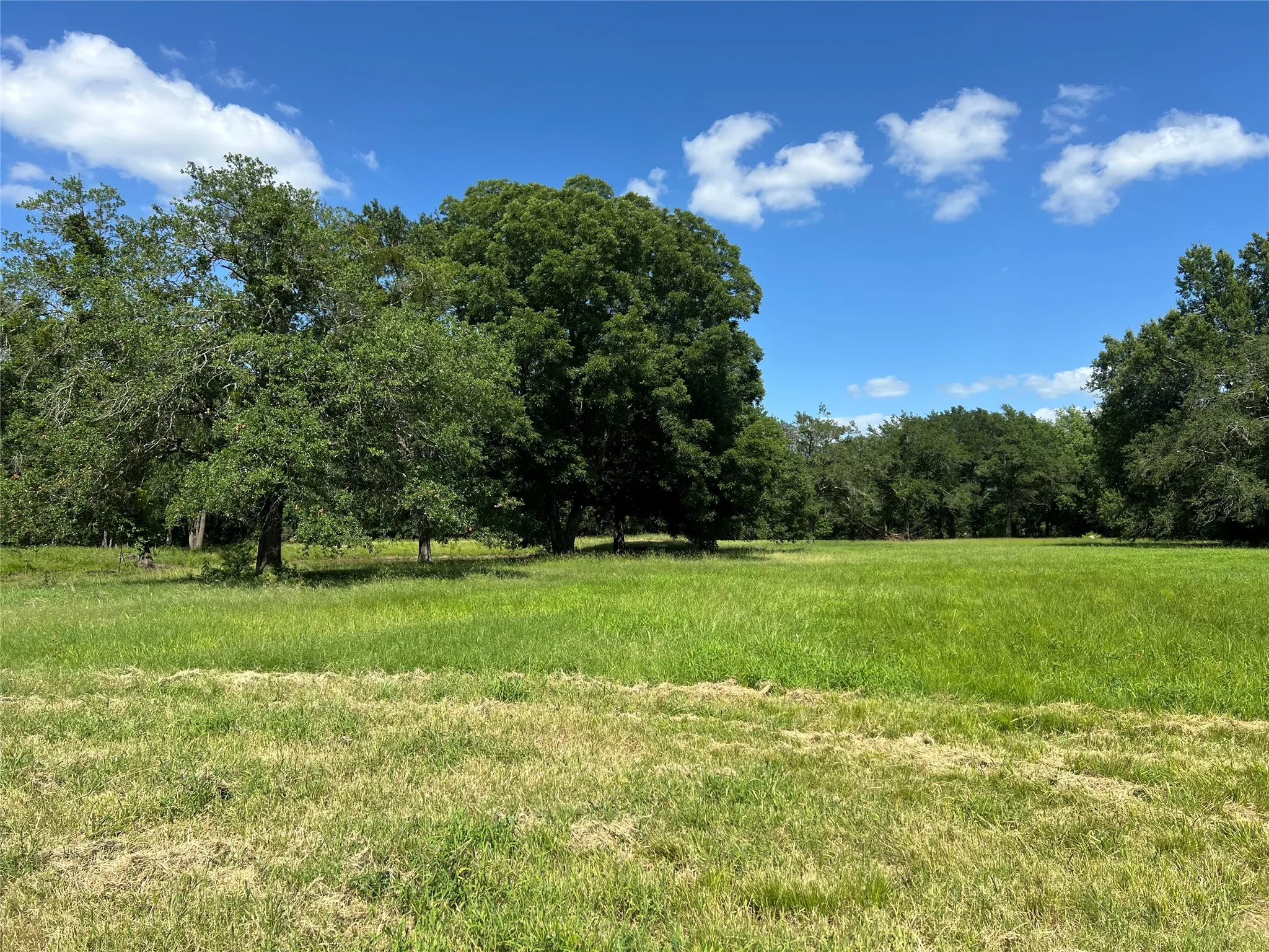 Unimproved Land For Sale in Hopkins County , TBD County Road 4719, Cumby, Texas 75433, 0, 0, Garage spaces, 0 Sqft, built in 0, mls#21318213, Real Estate Agent in Cumby, Homes For Sale in Hopkins county, Homes For Sale in Cumby, Realtor in Cumby Texas, Real Estate Brokerage Independent Realty Texas, Luminita Cordes Realtor