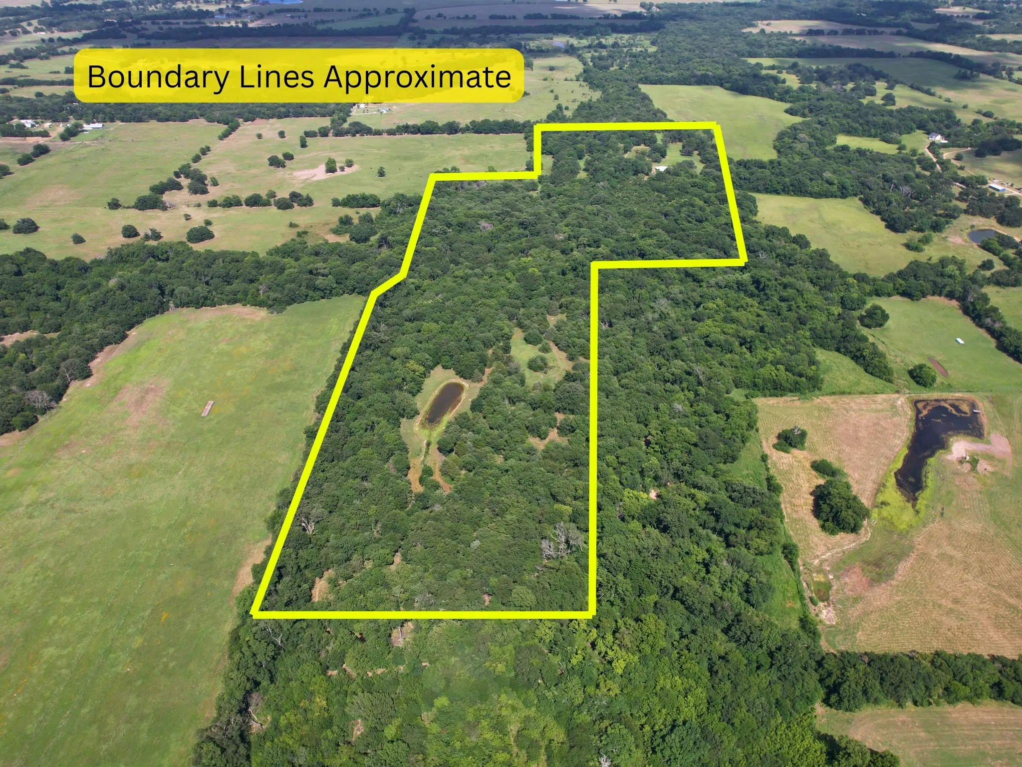 Unimproved Land For Sale in Hopkins County , TBD County Road 4719, Cumby, Texas 75433, 0, 0, Garage spaces, 0 Sqft, built in 0, mls#21318213, Real Estate Agent in Cumby, Homes For Sale in Hopkins county, Homes For Sale in Cumby, Realtor in Cumby Texas, Real Estate Brokerage Independent Realty Texas, Luminita Cordes Realtor