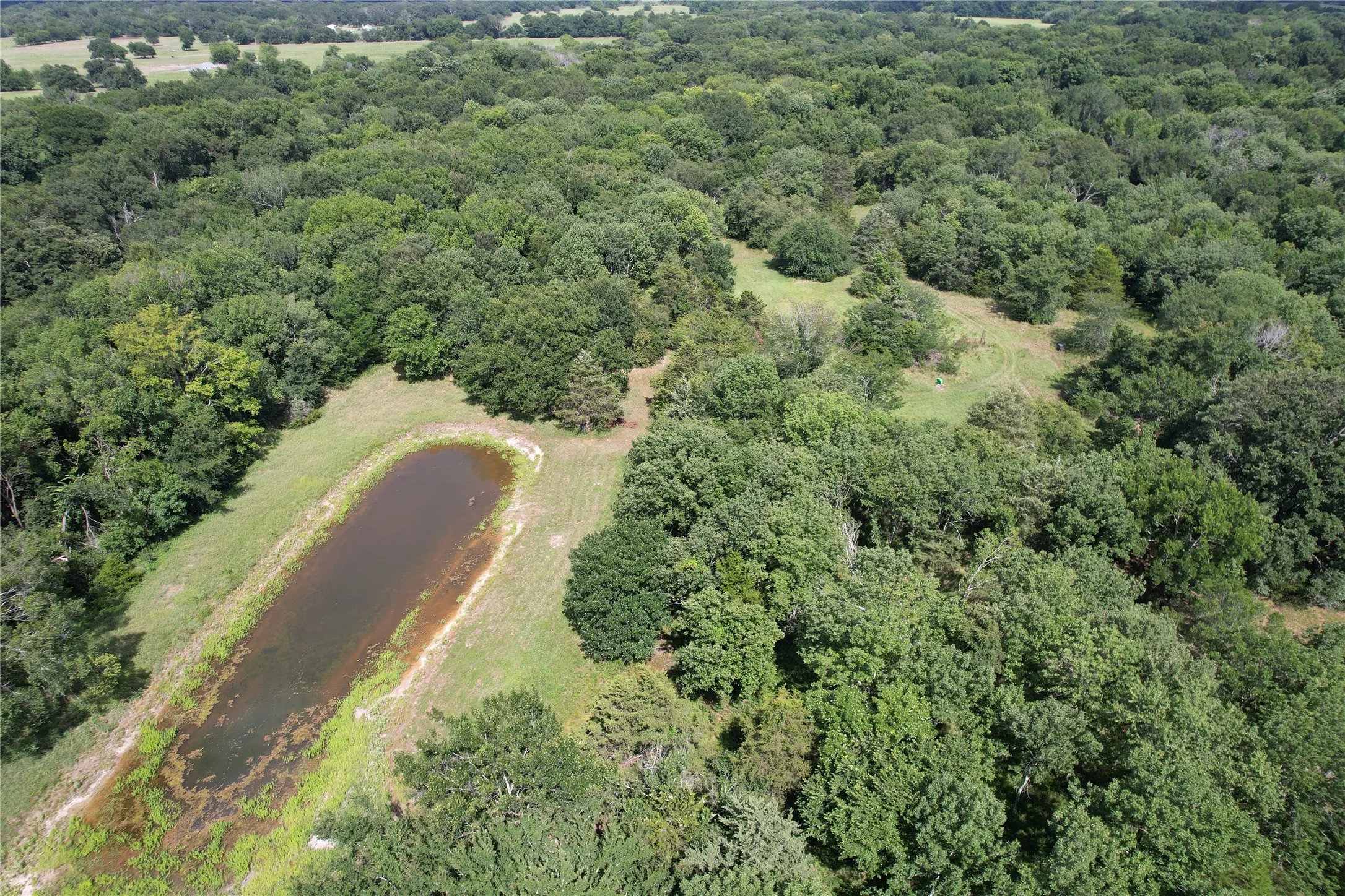 Unimproved Land For Sale in Hopkins County , TBD County Road 4719, Cumby, Texas 75433, 0, 0, Garage spaces, 0 Sqft, built in 0, mls#21318213, Real Estate Agent in Cumby, Homes For Sale in Hopkins county, Homes For Sale in Cumby, Realtor in Cumby Texas, Real Estate Brokerage Independent Realty Texas, Luminita Cordes Realtor