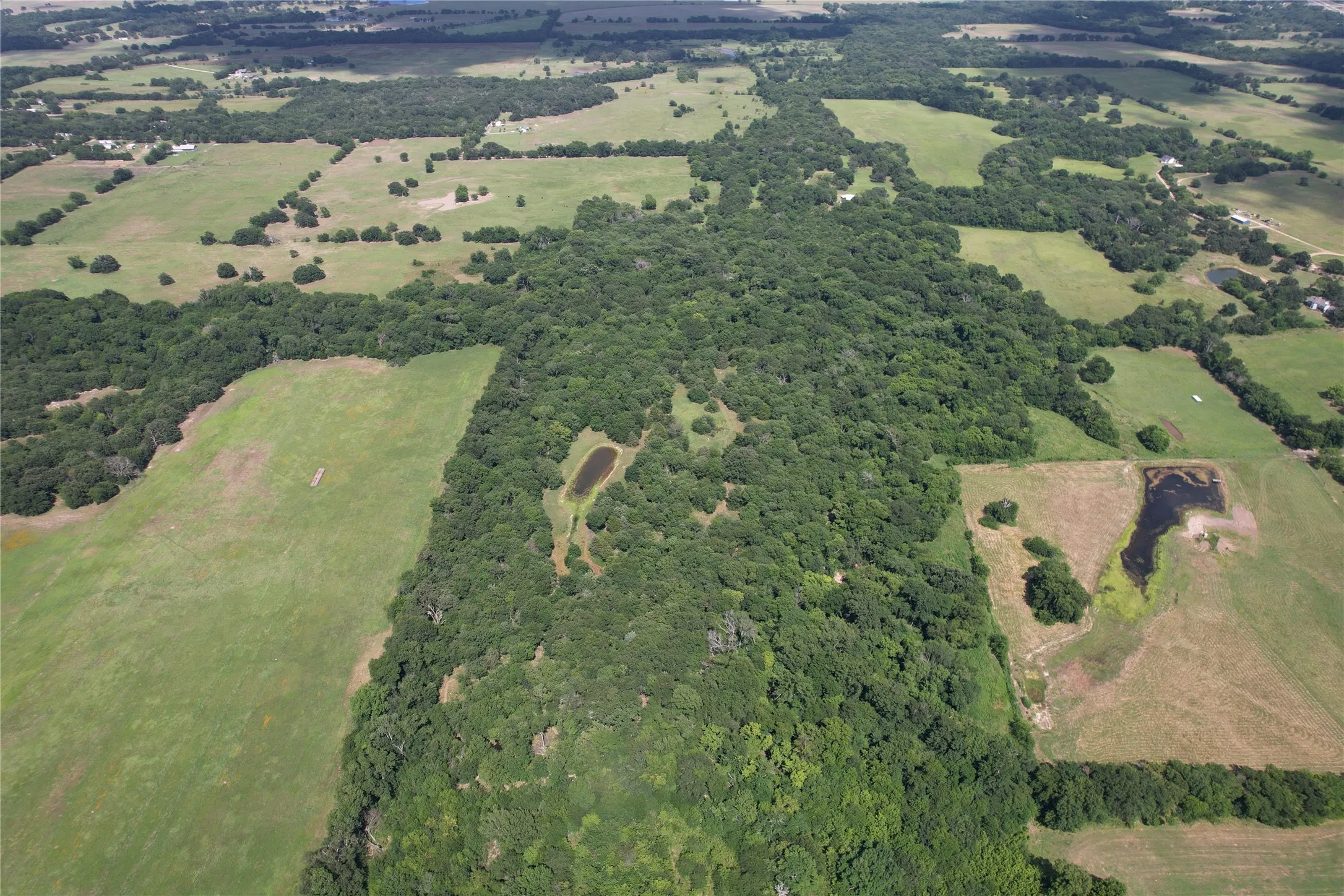 Unimproved Land For Sale in Hopkins County , TBD County Road 4719, Cumby, Texas 75433, 0, 0, Garage spaces, 0 Sqft, built in 0, mls#21318213, Real Estate Agent in Cumby, Homes For Sale in Hopkins county, Homes For Sale in Cumby, Realtor in Cumby Texas, Real Estate Brokerage Independent Realty Texas, Luminita Cordes Realtor