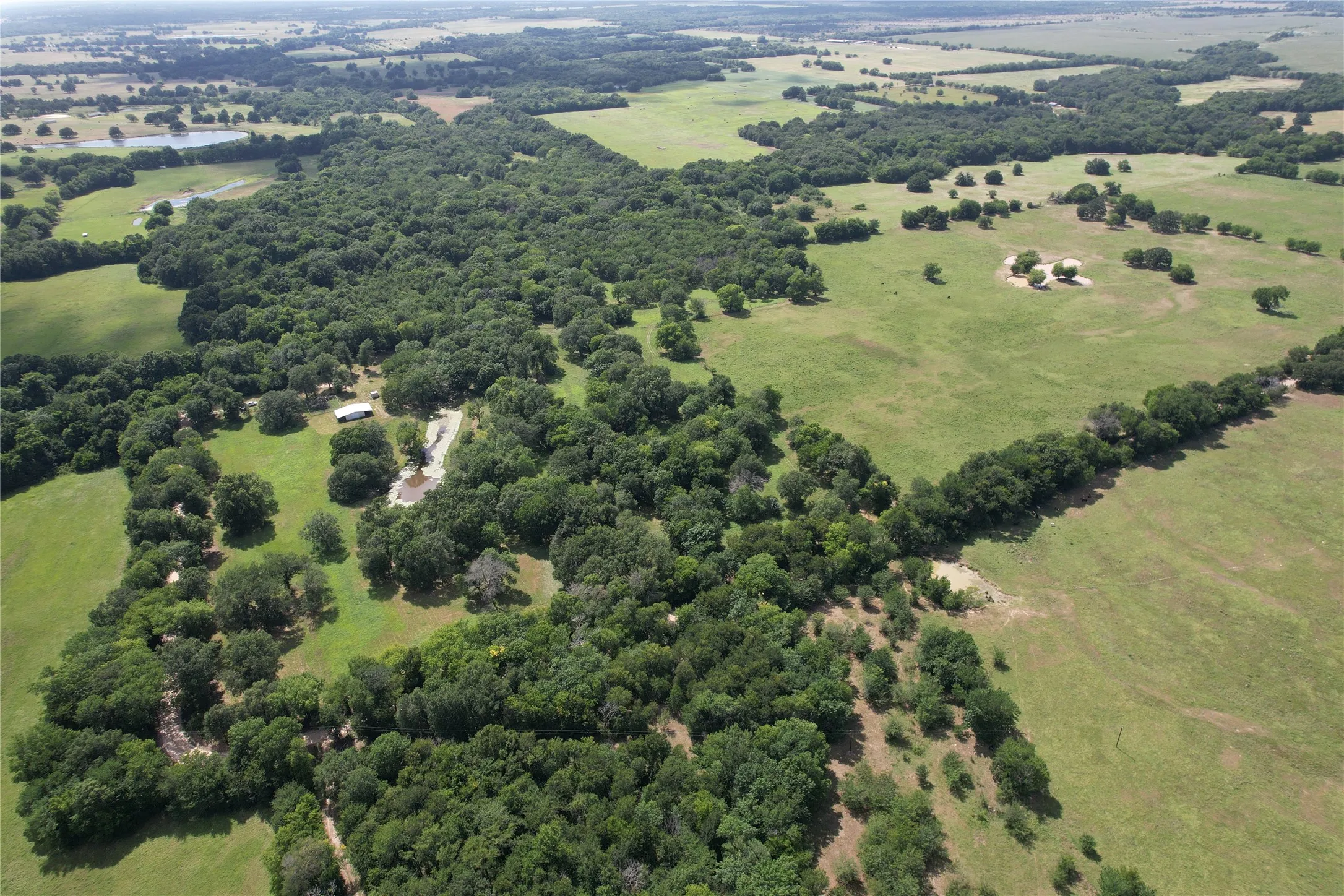 Unimproved Land For Sale in Hopkins County , TBD County Road 4719, Cumby, Texas 75433, 0, 0, Garage spaces, 0 Sqft, built in 0, mls#21318213, Real Estate Agent in Cumby, Homes For Sale in Hopkins county, Homes For Sale in Cumby, Realtor in Cumby Texas, Real Estate Brokerage Independent Realty Texas, Luminita Cordes Realtor