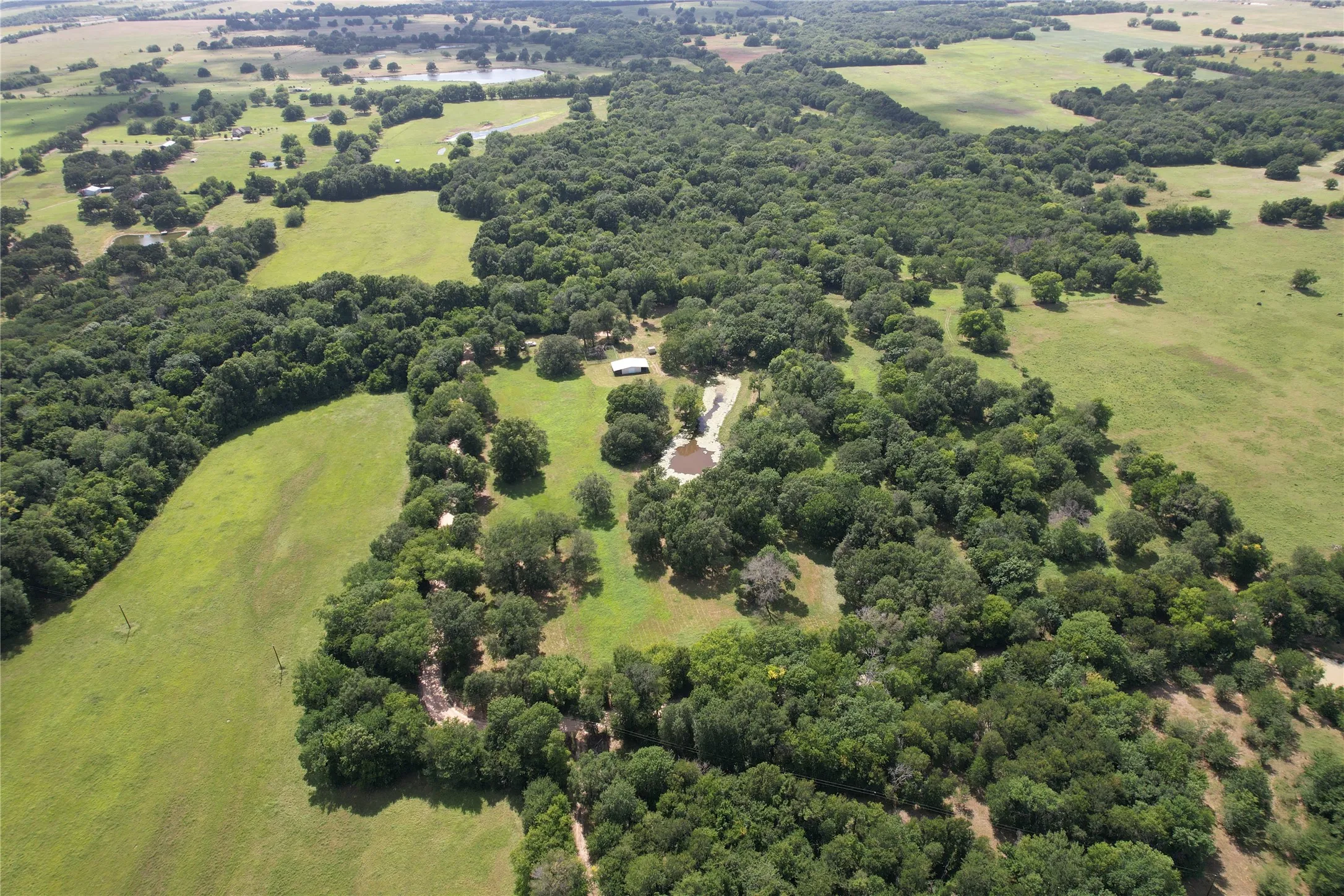Unimproved Land For Sale in Hopkins County , TBD County Road 4719, Cumby, Texas 75433, 0, 0, Garage spaces, 0 Sqft, built in 0, mls#21318213, Real Estate Agent in Cumby, Homes For Sale in Hopkins county, Homes For Sale in Cumby, Realtor in Cumby Texas, Real Estate Brokerage Independent Realty Texas, Luminita Cordes Realtor