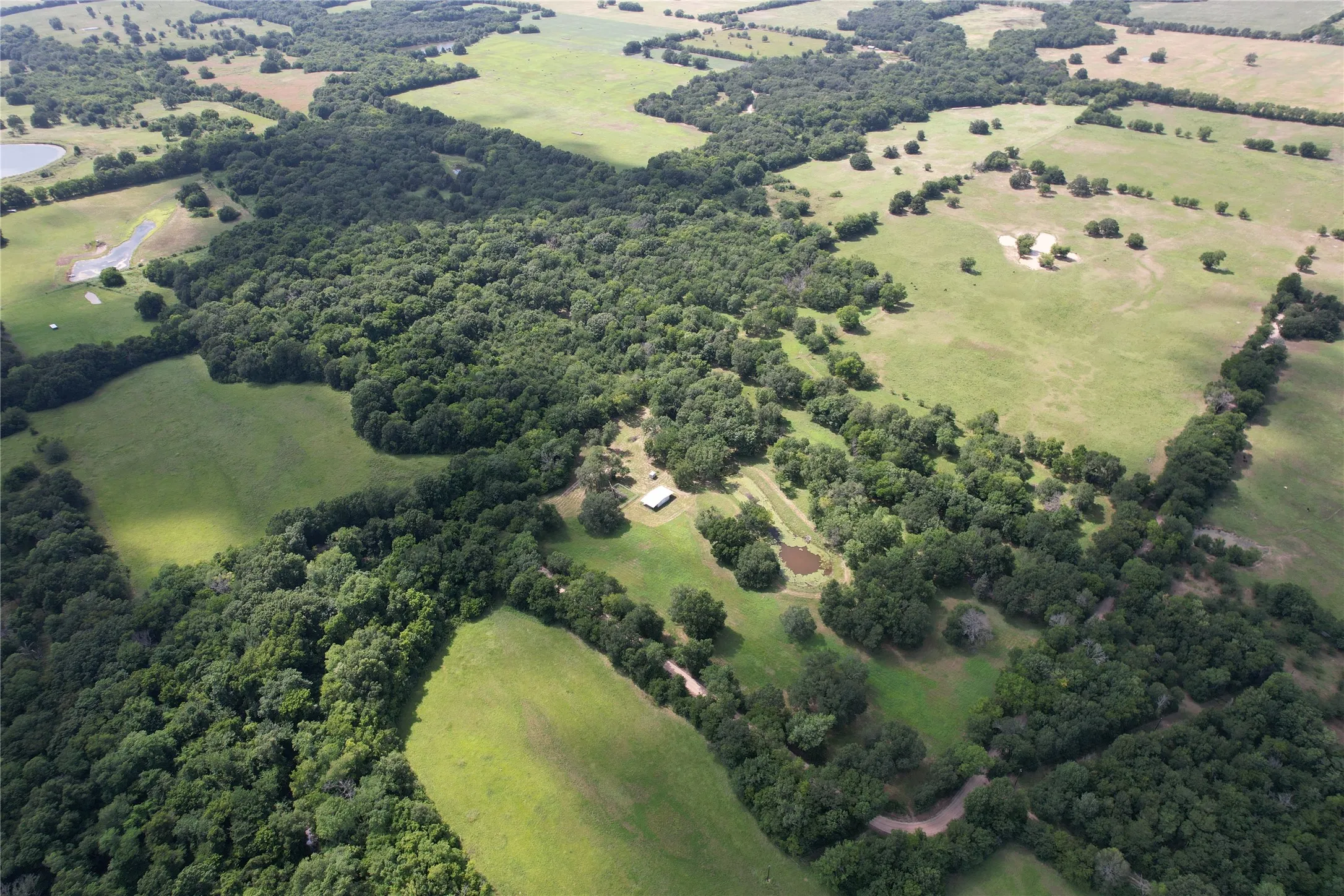 Unimproved Land For Sale in Hopkins County , TBD County Road 4719, Cumby, Texas 75433, 0, 0, Garage spaces, 0 Sqft, built in 0, mls#21318213, Real Estate Agent in Cumby, Homes For Sale in Hopkins county, Homes For Sale in Cumby, Realtor in Cumby Texas, Real Estate Brokerage Independent Realty Texas, Luminita Cordes Realtor